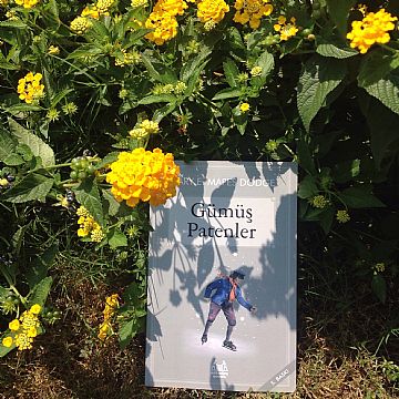 cocuklar-icin-kitap-onerileri-gumus-patenler-by-mary-e-mapes-dodge-8-yas-ve-uzeri
