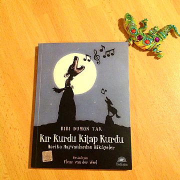 cocuklar-icin-kitap-onerileri-kir-kurdu-kitap-kurdu-by-bibi-dumon-tak-7-yas-ve-uzeri
