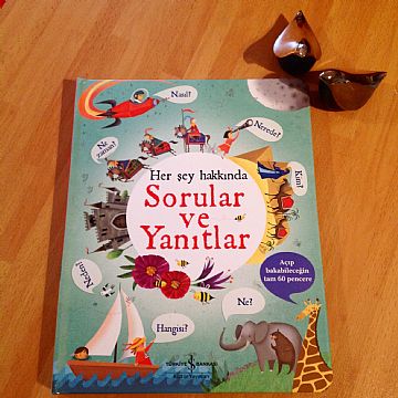 cocuklar-icin-kitap-onerileri-her-sey-hakkinda-sorular-ve-yanitlar-by-katie-daynes-4-yas-ve-uzeri