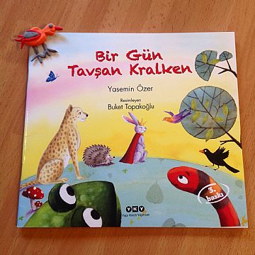 cocuklar-icin-kitap-onerileri-bir-gun-tavsan-kralken-by-yasemin-ozer-4-yas-ve-uzeri