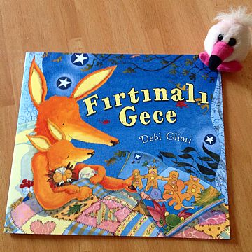 cocuklar-icin-kitap-onerileri-firtinali-gece-by-debi-gliori-2-yas-ve-uzeri
