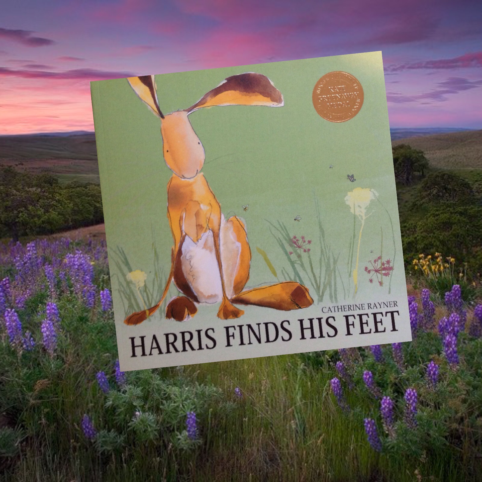 cocuklar-icin-kitap-onerileri-harris-finds-his-feet-by-catherine-rayner-4-yas-ve-uzeri