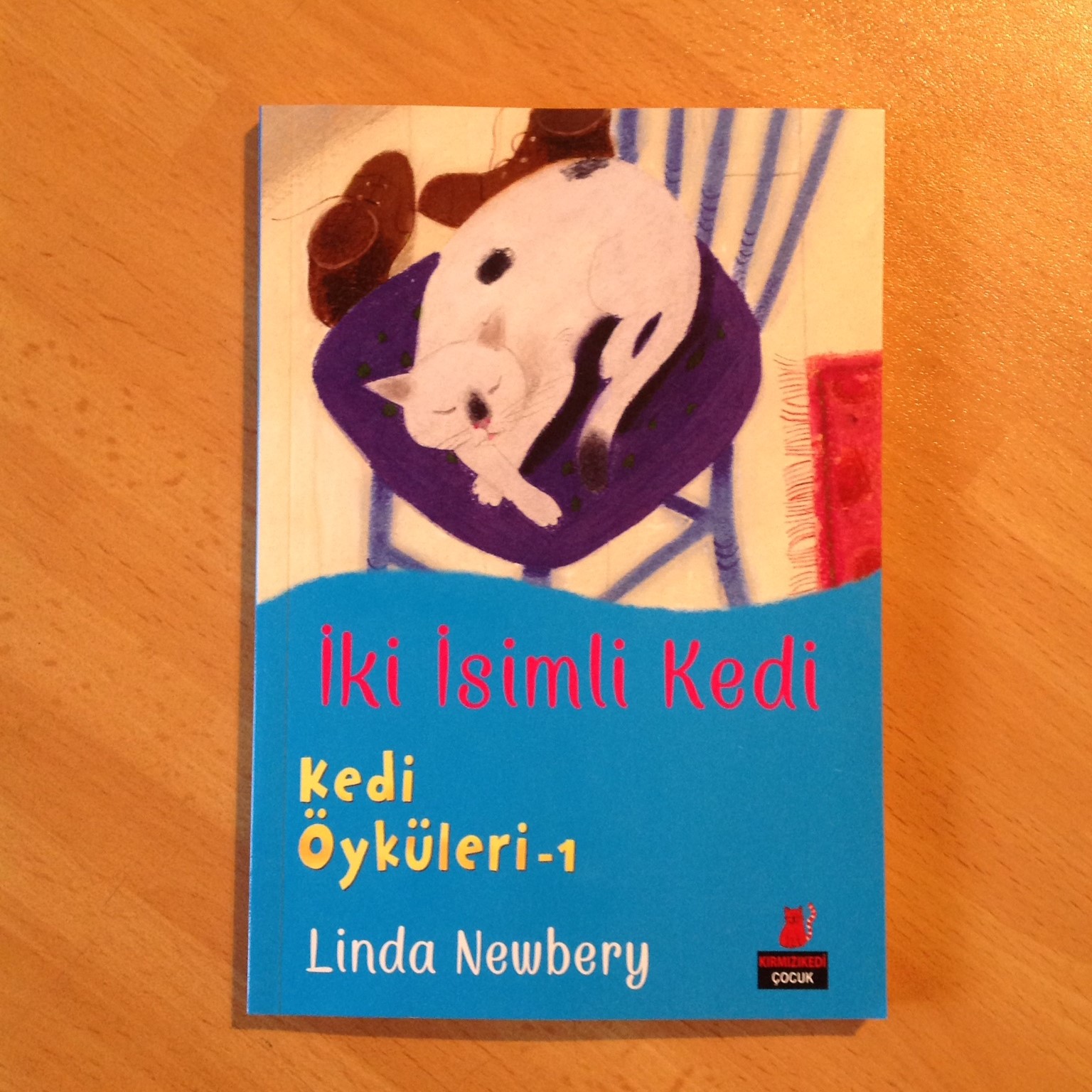 cocuklar-icin-kitap-onerileri-iki-isimli-kedi-by-linda-newbery-7-yas-ve-uzeri