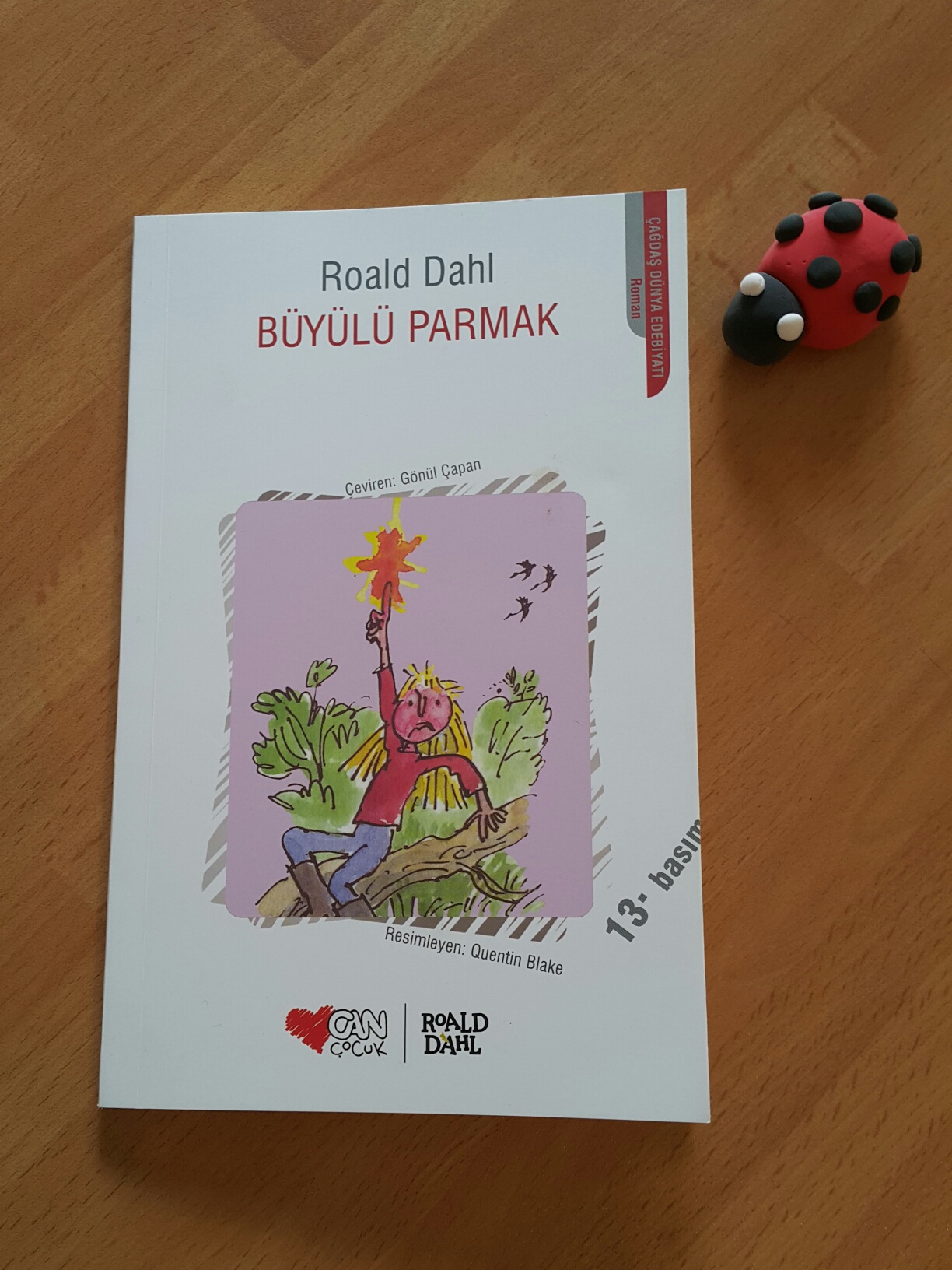 cocuklar-icin-kitap-onerileri-buyulu-parmak-by-roald-dahl-9-yas-ve-uzeri