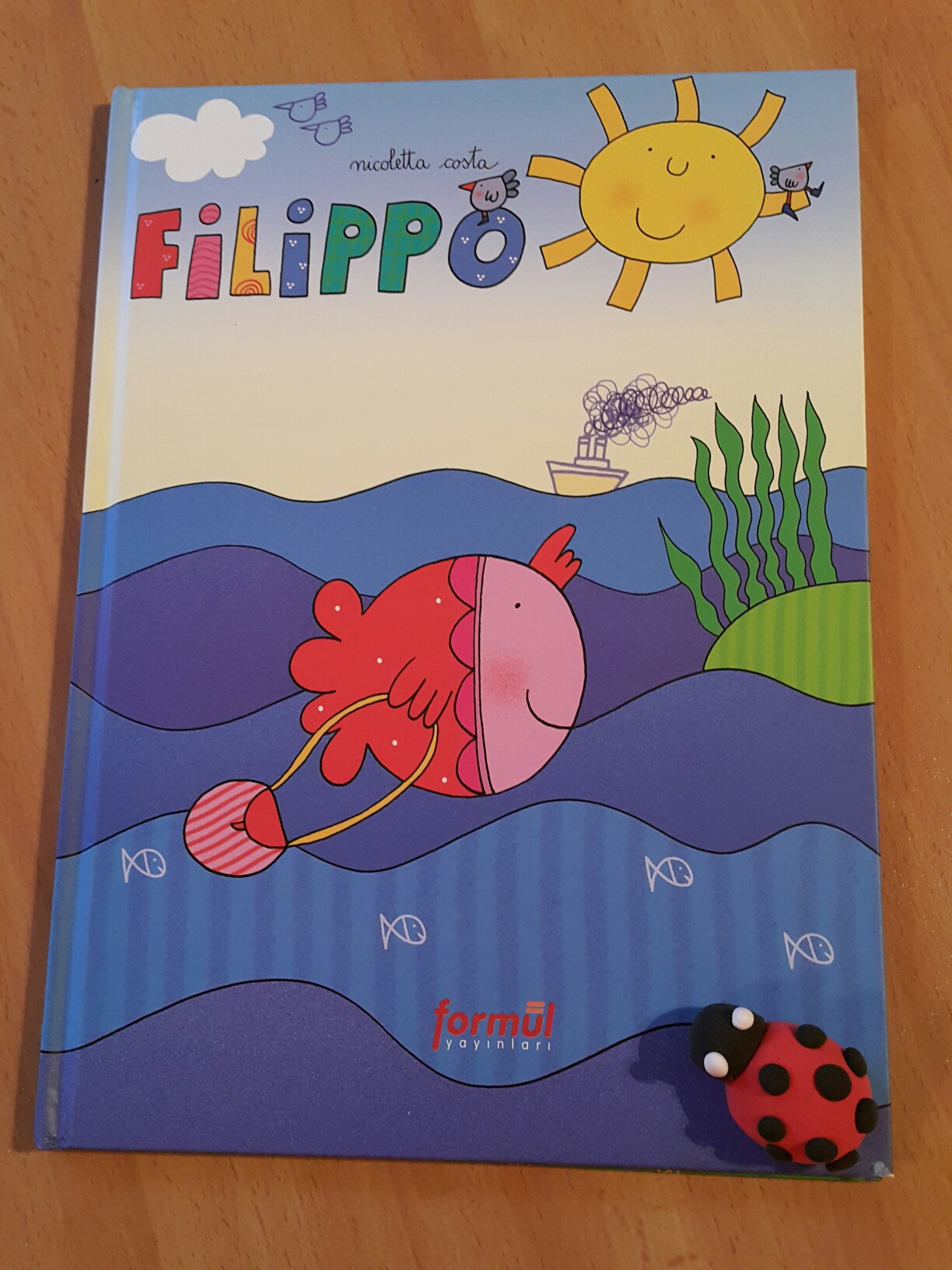 cocuklar-icin-kitap-onerileri-filippo-by-nicoletta-costa-2-yas-ve-uzeri