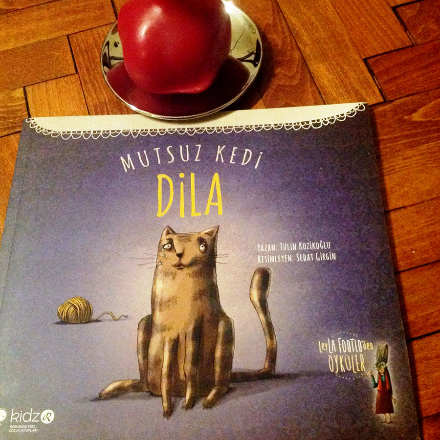 cocuklar-icin-kitap-onerileri-mutsuz-kedi-dila-by-tulin-kozikoglu-4-yas-ve-uzeri