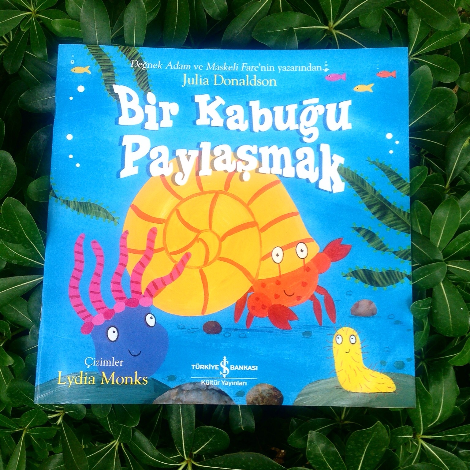 cocuklar-icin-kitap-onerileri-bir-kabugu-paylasmak-by-julia-donaldson-2-yas-ve-uzeri