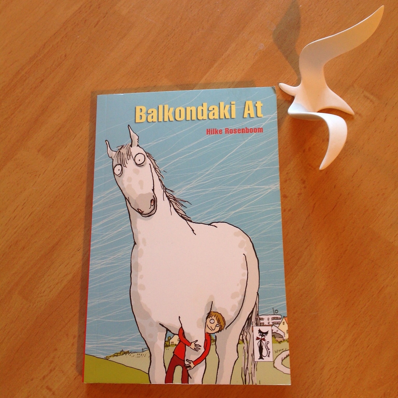 cocuklar-icin-kitap-onerileri-balkondaki-at-by-hilke-rosenboom-9-yas-ve-uzeri