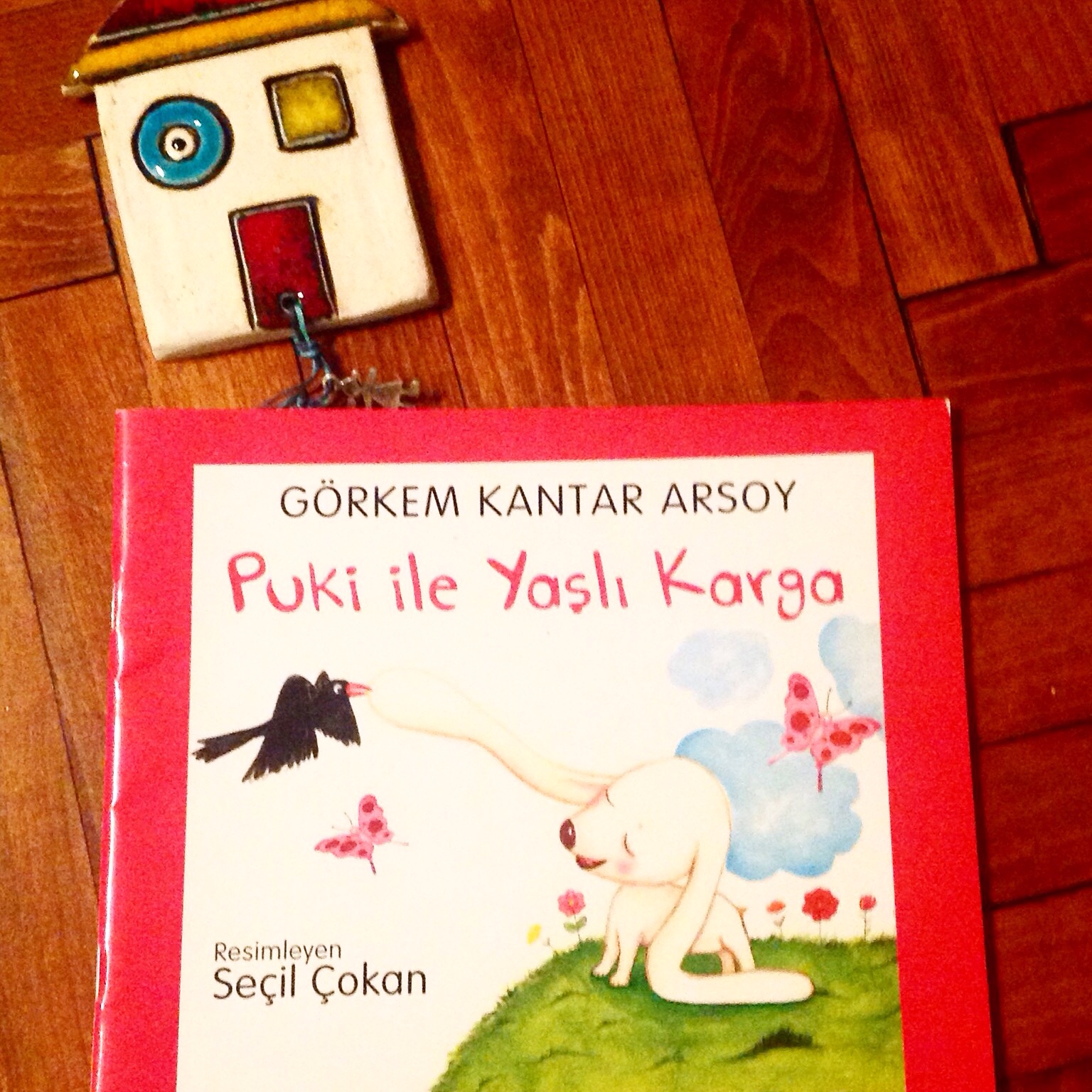 cocuklar-icin-kitap-onerileri-puki-ile-yasli-karga-by-gorkem-kantar-arsoy-3-yas-ve-uzeri