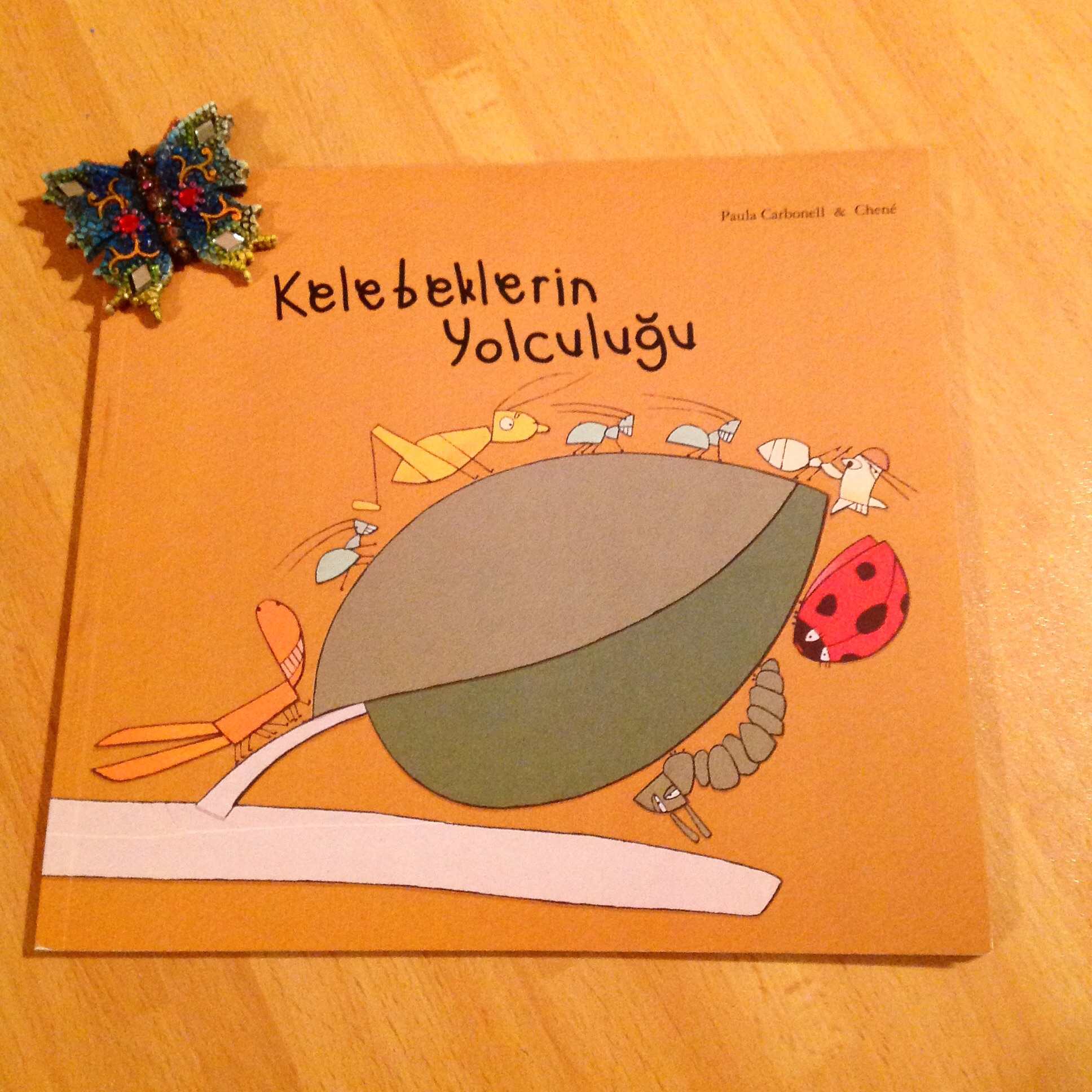 cocuklar-icin-kitap-onerileri-kelebeklerin-yolculugu-by-paula-carbonell-3-yas-ve-uzeri