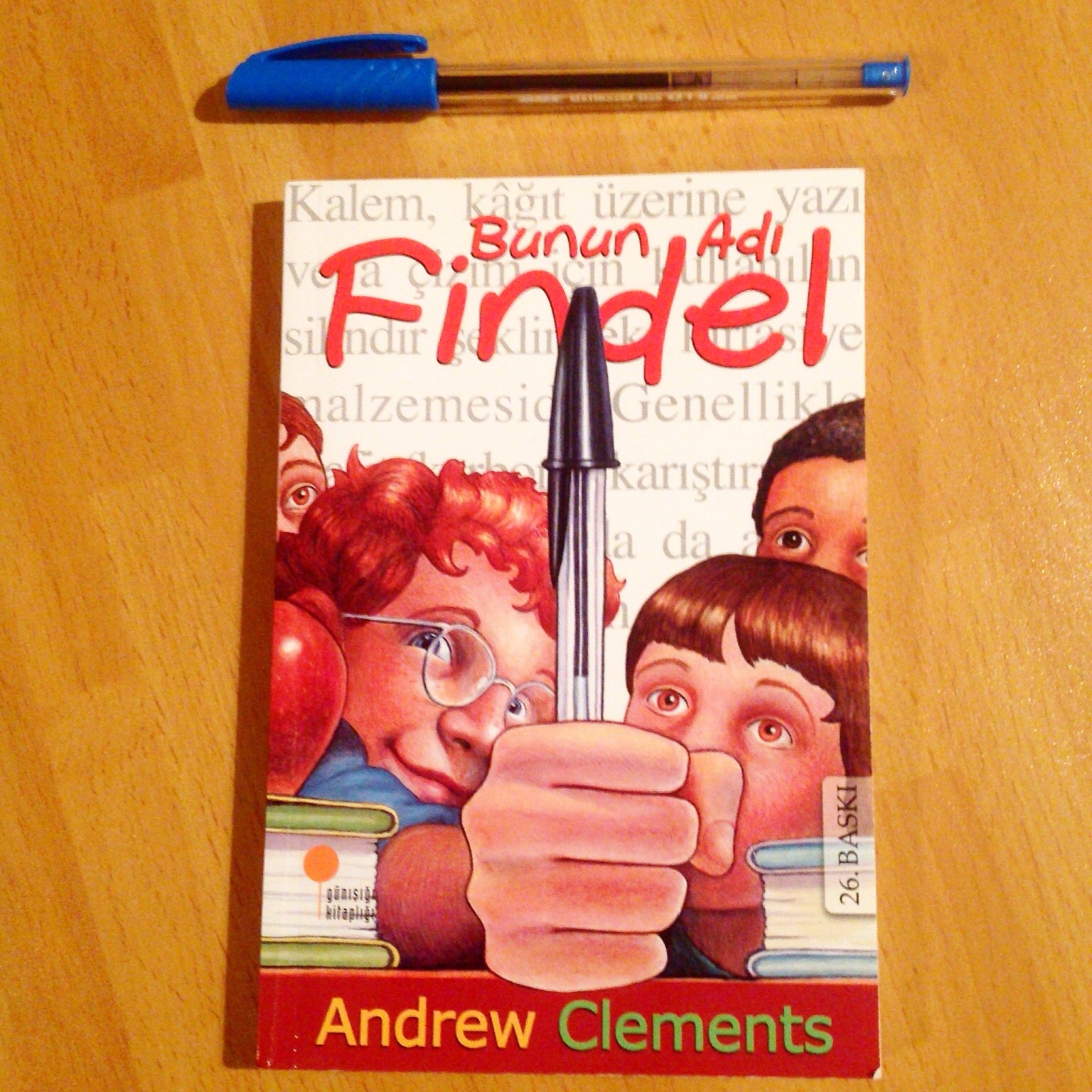 cocuklar-icin-kitap-onerileri-bunun-adi-findel-by-andrew-clements-8-yas-ve-uzeri