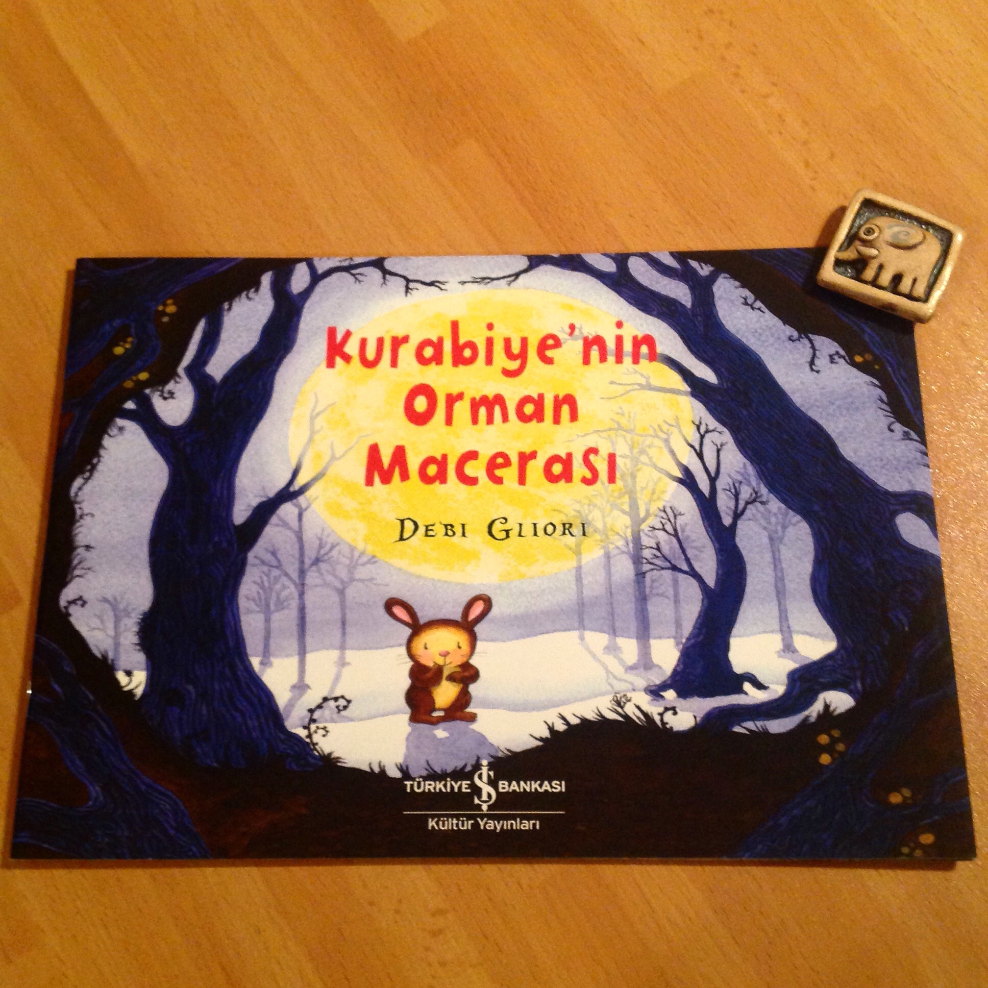 cocuklar-icin-kitap-onerileri-kurabiyenin-orman-macerasi-by-debi-gliori-3-yas-ve-uzeri