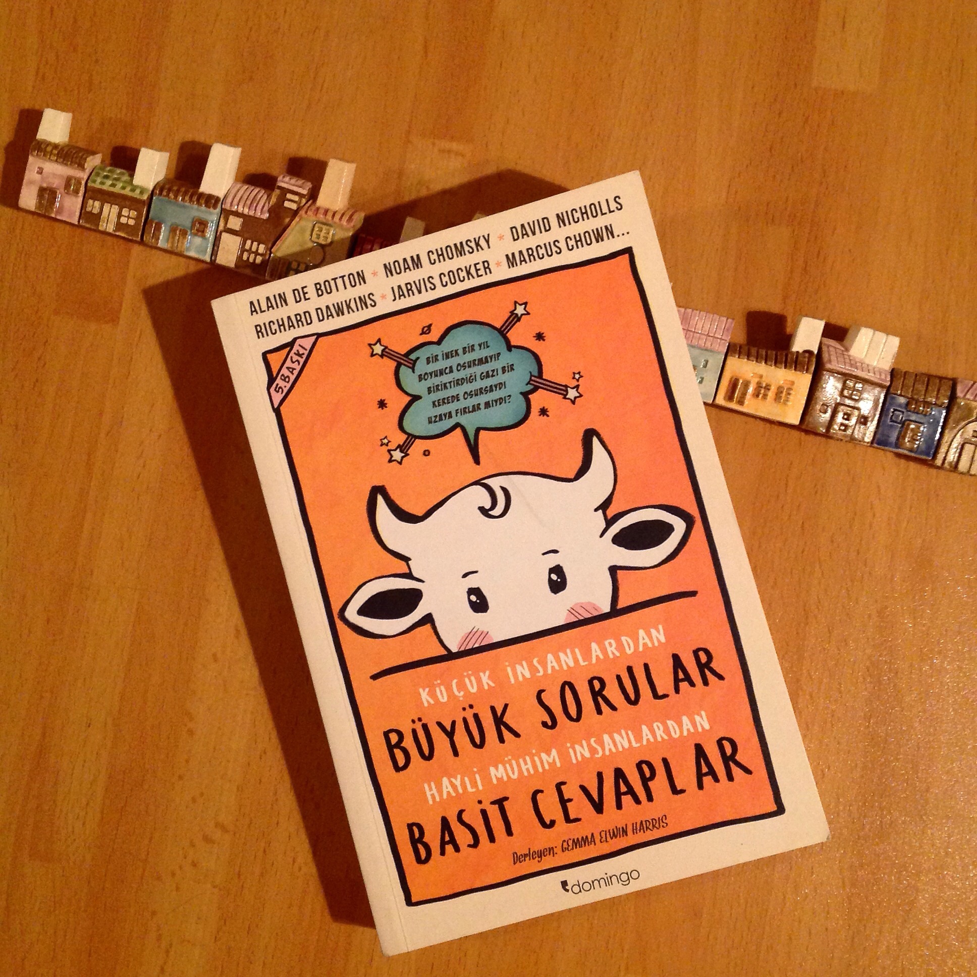 cocuklar-icin-kitap-onerileri-kucuk-insanlardan-buyuk-sorular-hayli-muhim-insanlardan-basit-cevaplar-by-gemma-elwin-harris-10-yas-ve-uzeri