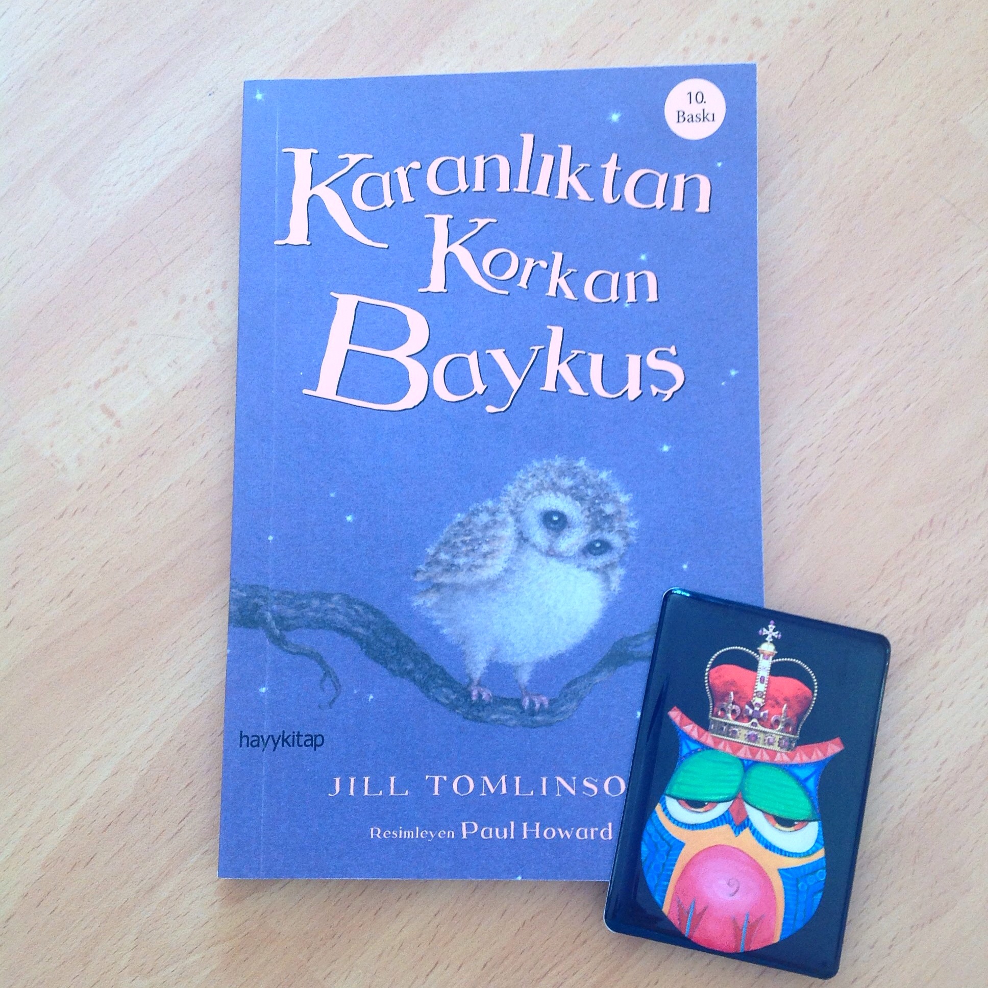 cocuklar-icin-kitap-onerileri-karanliktan-korkan-baykus-by-jill-tomlinson-7-yas-ve-uzeri