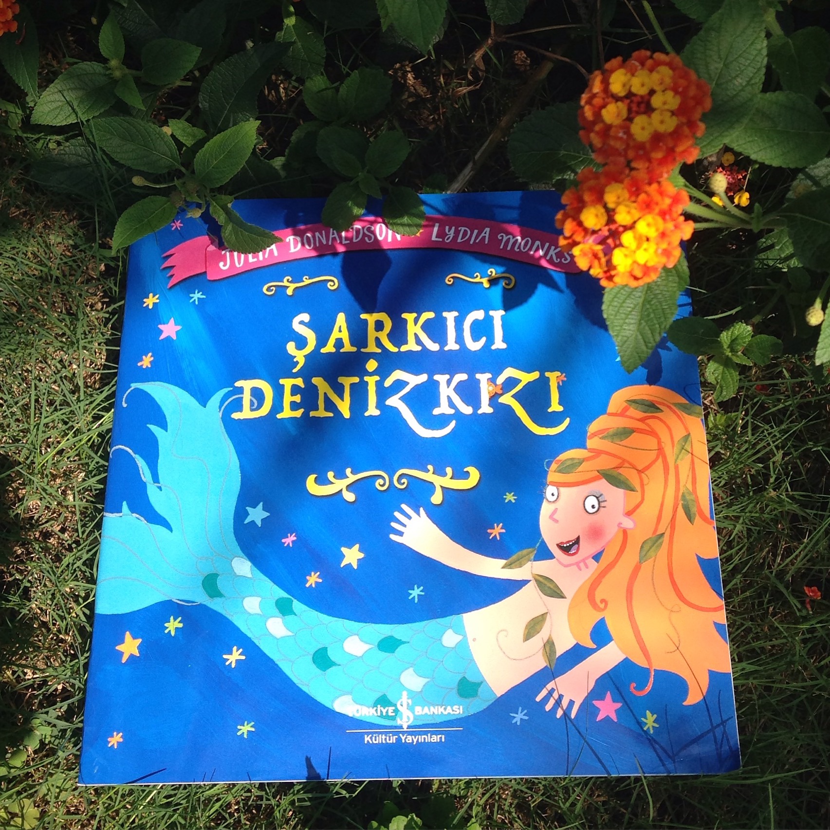 cocuklar-icin-kitap-onerileri-kucuk-deniz-kizi-by-julia-donaldson-3-yas-ve-uzeri