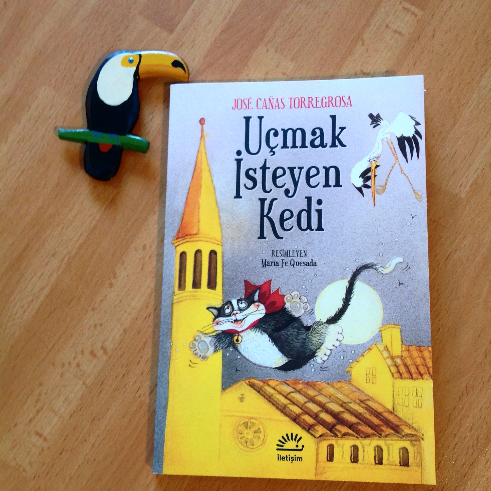 cocuklar-icin-kitap-onerileri-ucmak-isteyen-kedi-by-jose-casas-torregrosa-7-yas-ve-uzeri