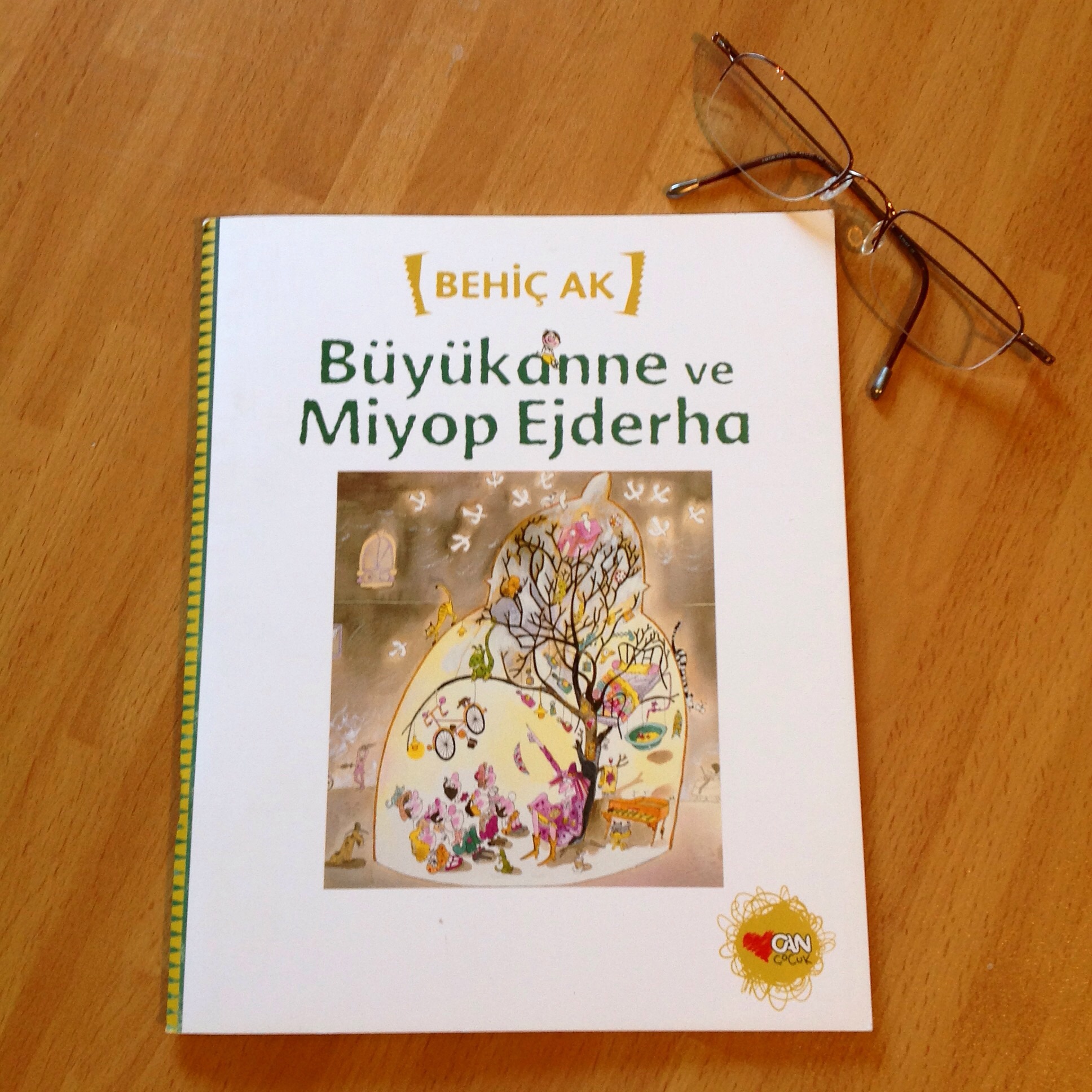 cocuklar-icin-kitap-onerileri-buyukanne-ve-miyop-ejderha-by-behic-ak-3-yas-ve-uzeri