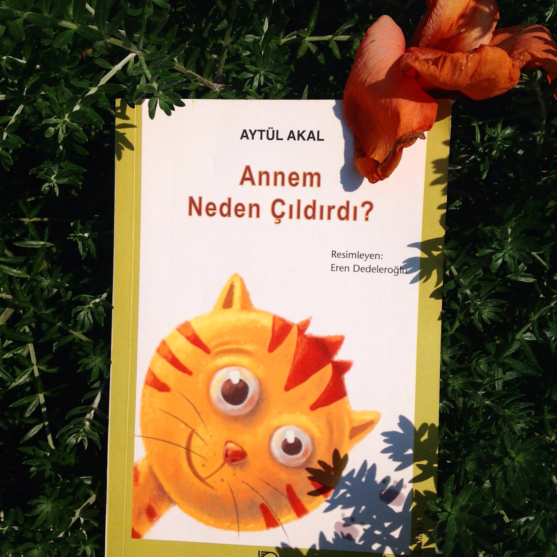 cocuklar-icin-kitap-onerileri-annem-neden-cildirdi-by-aytul-akal-8-yas-ve-uzeri