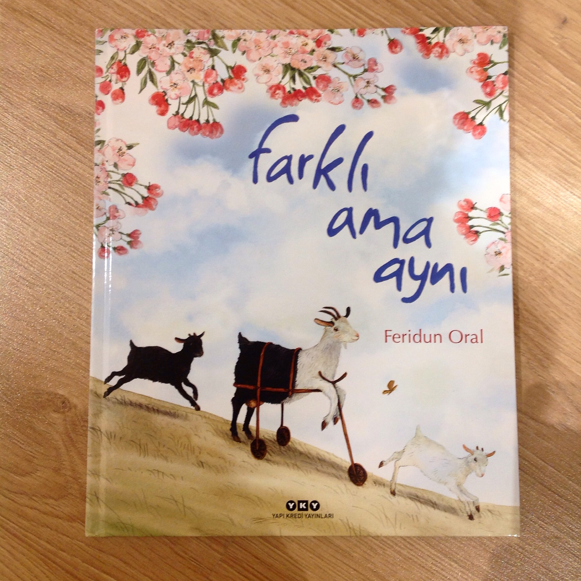 cocuklar-icin-kitap-onerileri-farkli-ama-ayni-by-feridun-oral-4-yas-ve-uzeri