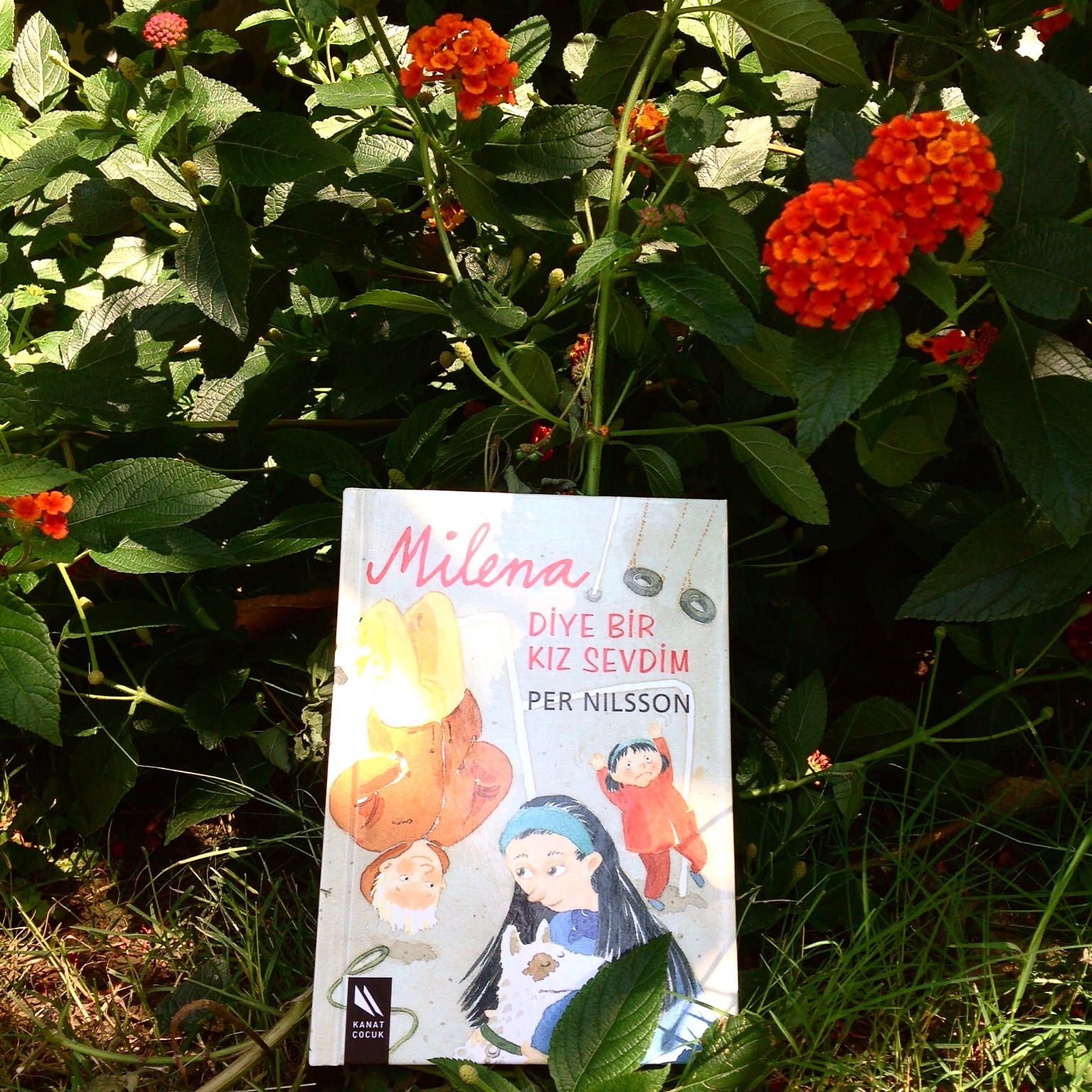 cocuklar-icin-kitap-onerileri-milena-diye-bir-kiz-sevdim-by-per-nilsson-10-yas-ve-uzeri