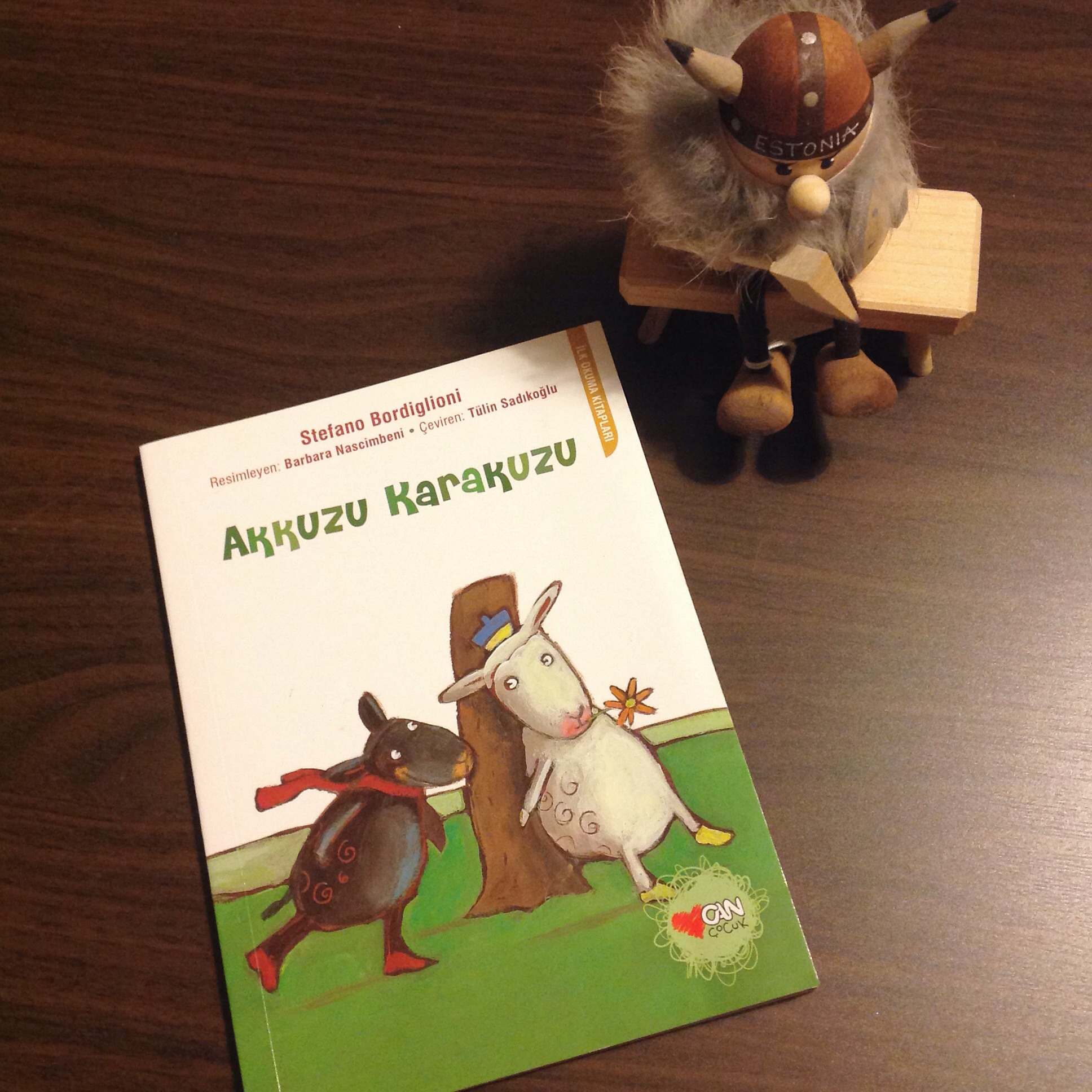 cocuklar-icin-kitap-onerileri-akkuzu-karakuzu-by-stefano-bordiglioni-5-yas-ve-uzeri