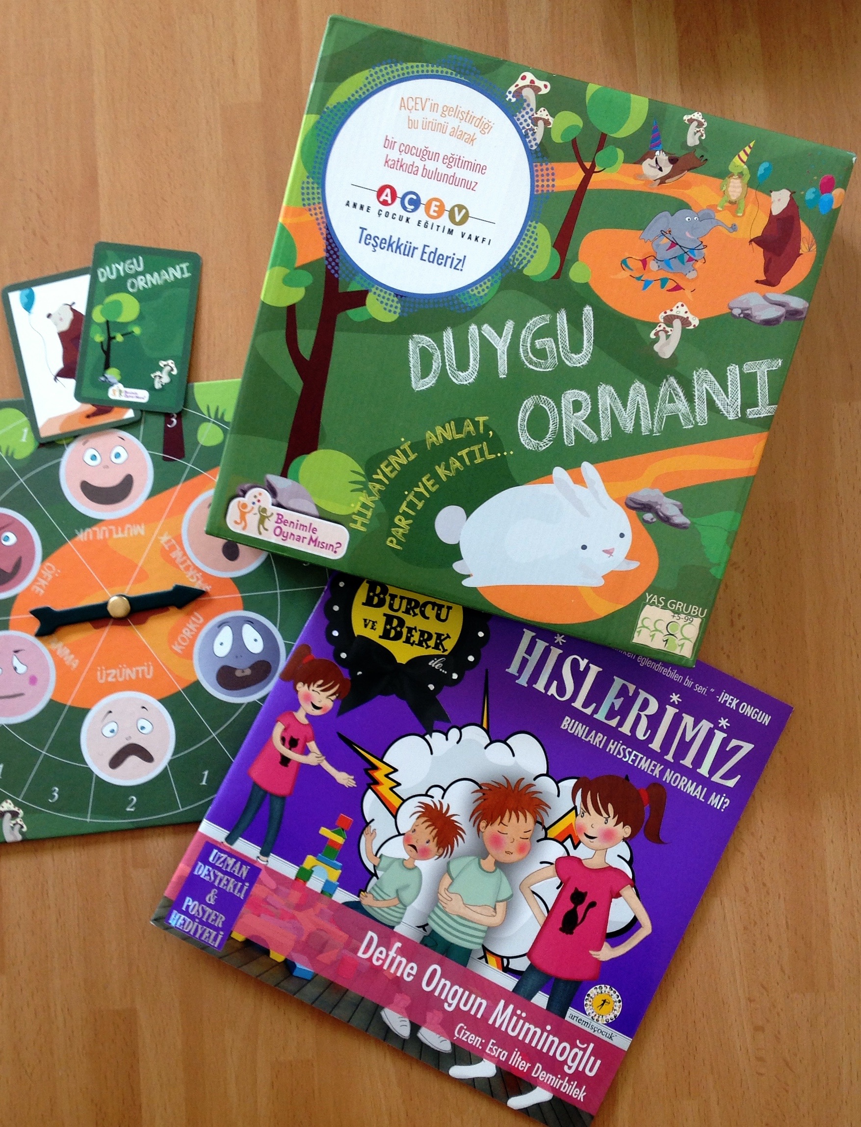 cocuklar-icin-kitap-onerileri-hislerimiz-burcu-ve-berk-serisi-by-defne-ongun-muminoglu-4-yas-ve-uzeri