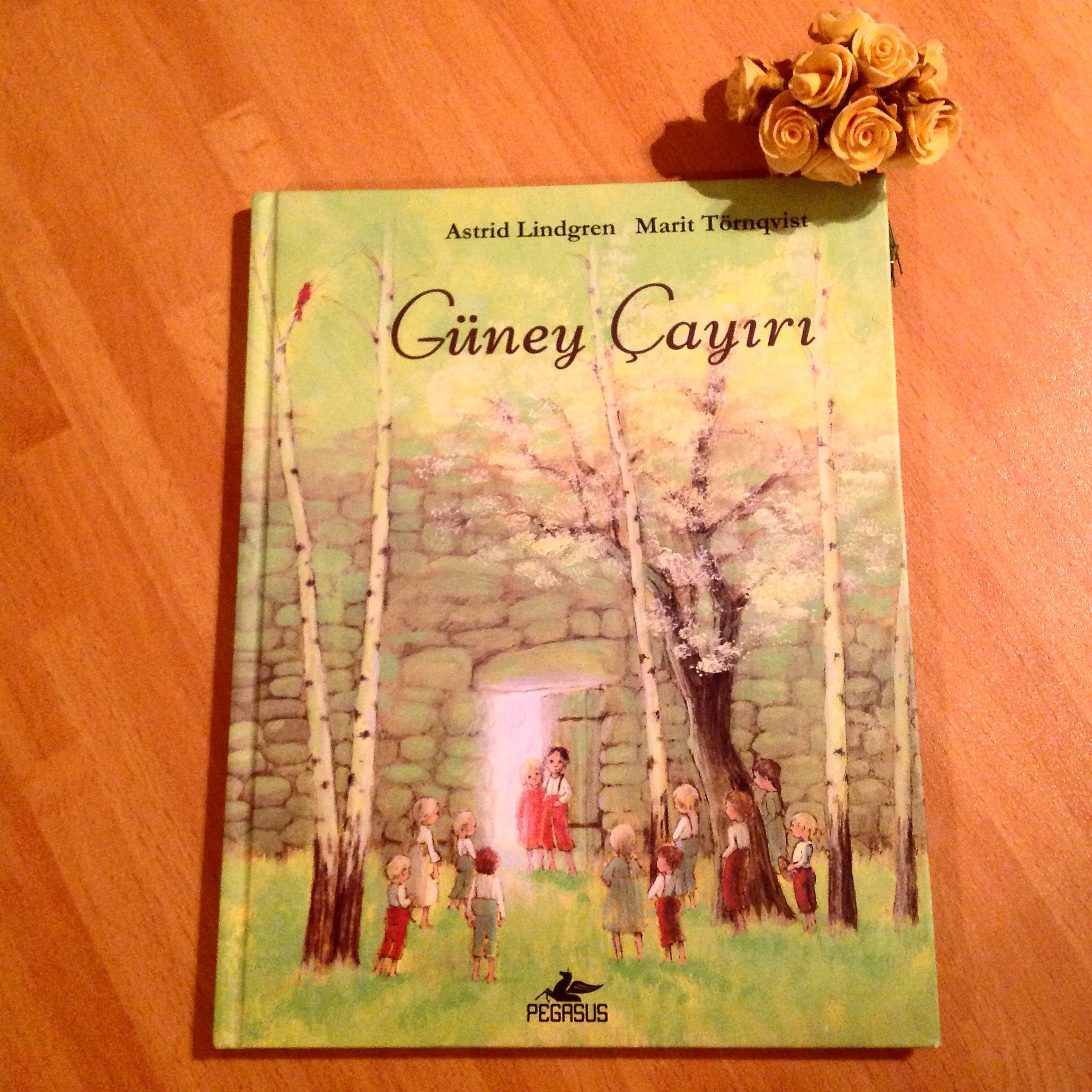 cocuklar-icin-kitap-onerileri-guney-cayiri-by-astrid-lindgren-8-yas-ve-uzeri