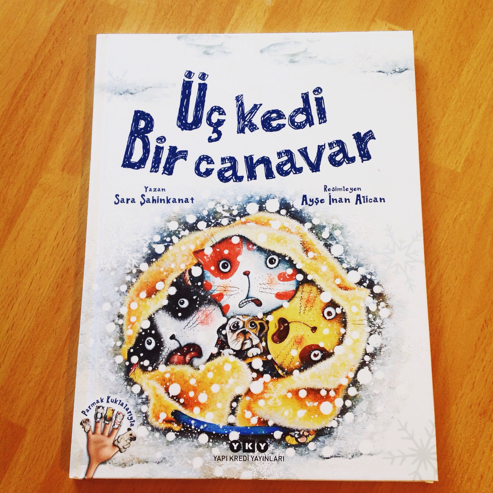 cocuklar-icin-kitap-onerileri-uc-kedi-bir-canavar-by-sara-sahinkanat-3-yas-ve-uzeri