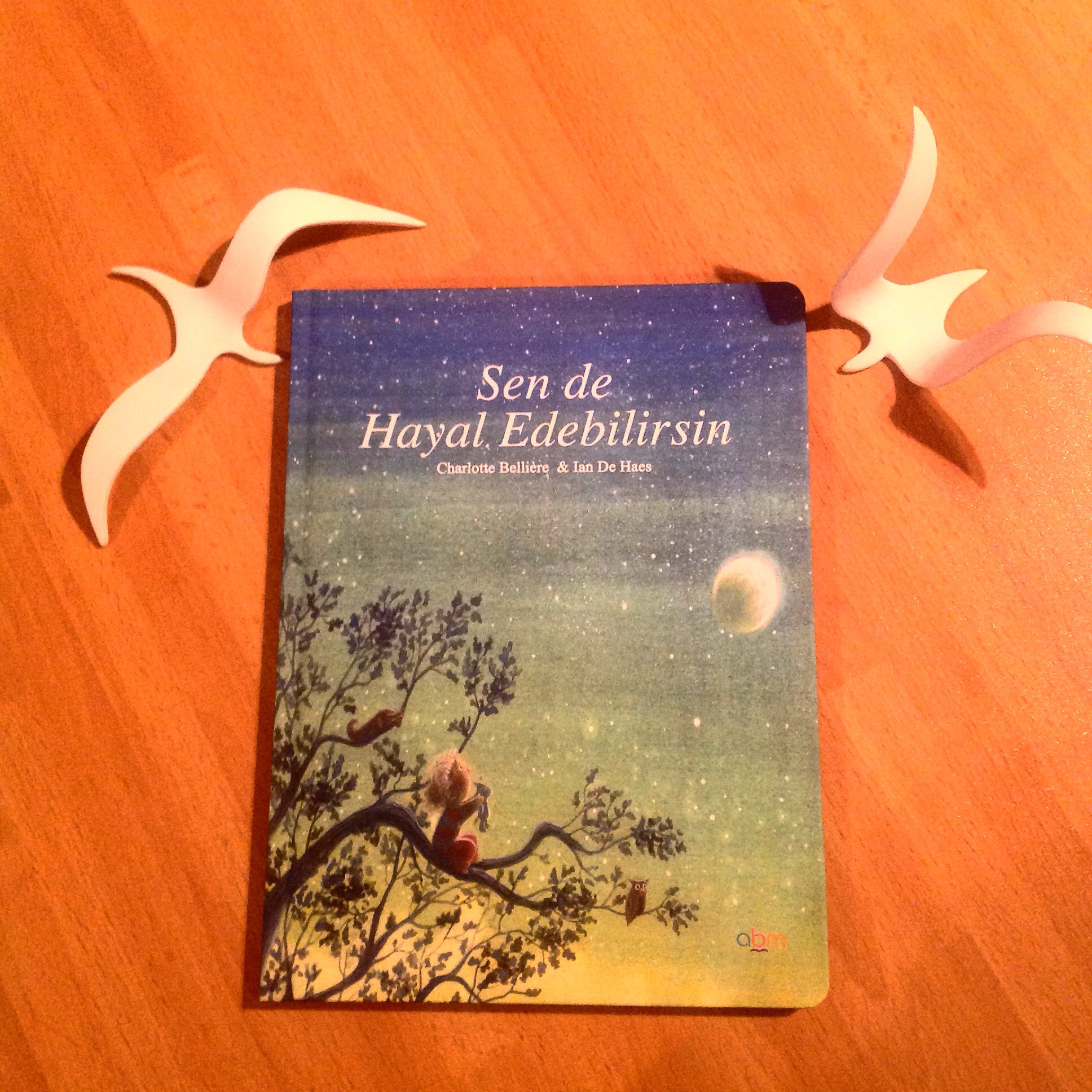 cocuklar-icin-kitap-onerileri-sen-de-hayal-edebilirsin-by-charlotte-belliere-4-yas-ve-uzeri