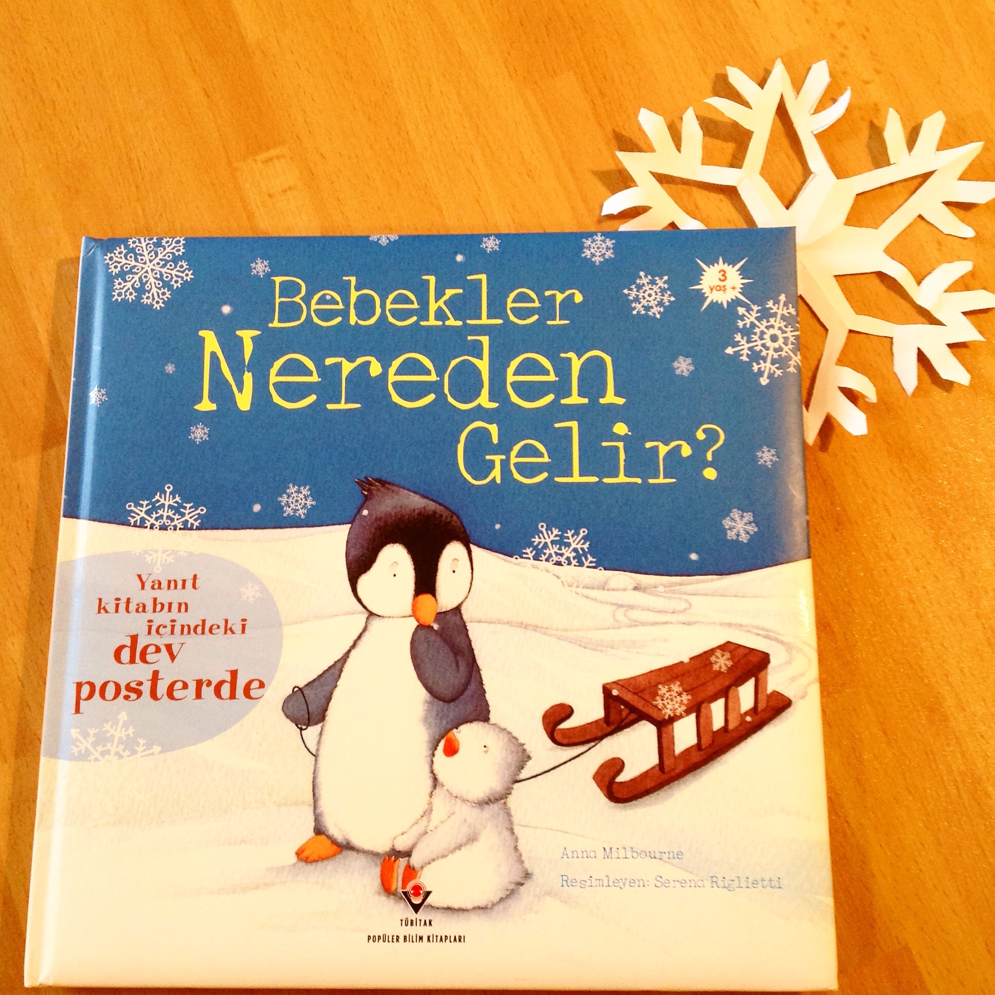 cocuklar-icin-kitap-onerileri-bebekler-nereden-gelir-by-anna-milbourne-3-yas-ve-uzeri
