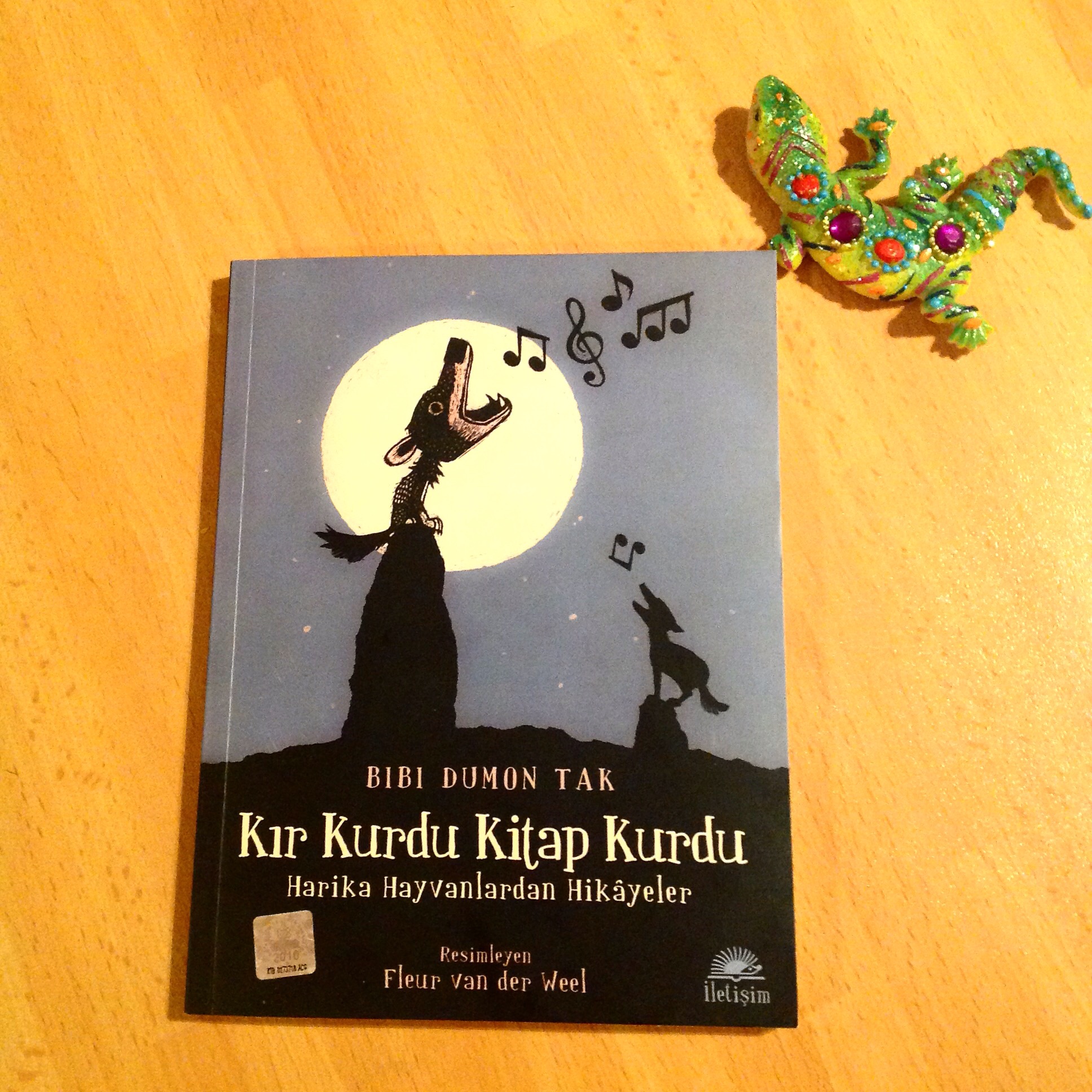 cocuklar-icin-kitap-onerileri-kir-kurdu-kitap-kurdu-by-bibi-dumon-tak-7-yas-ve-uzeri