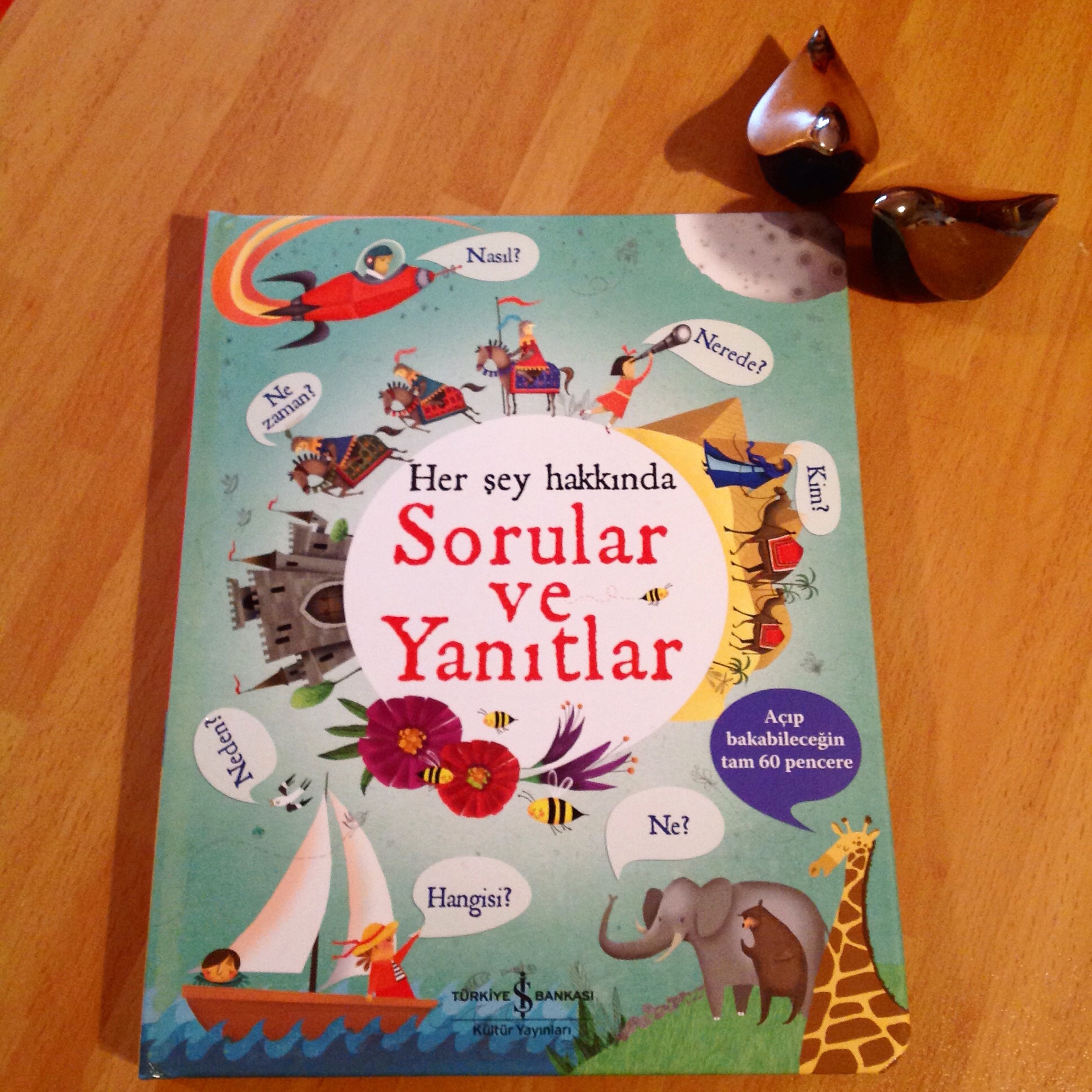 cocuklar-icin-kitap-onerileri-her-sey-hakkinda-sorular-ve-yanitlar-by-katie-daynes-4-yas-ve-uzeri