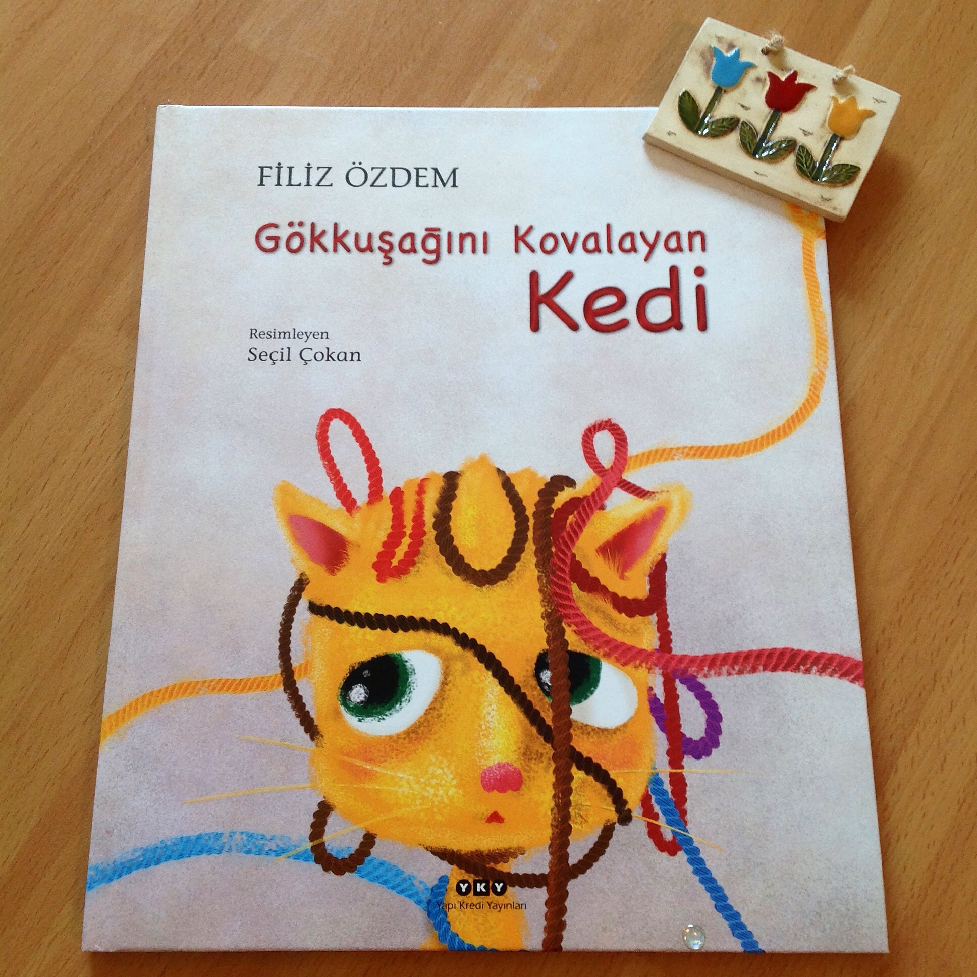 cocuklar-icin-kitap-onerileri-gokkusagini-kovalayan-kedi-by-filiz-ozdem-3-yas-ve-uzeri