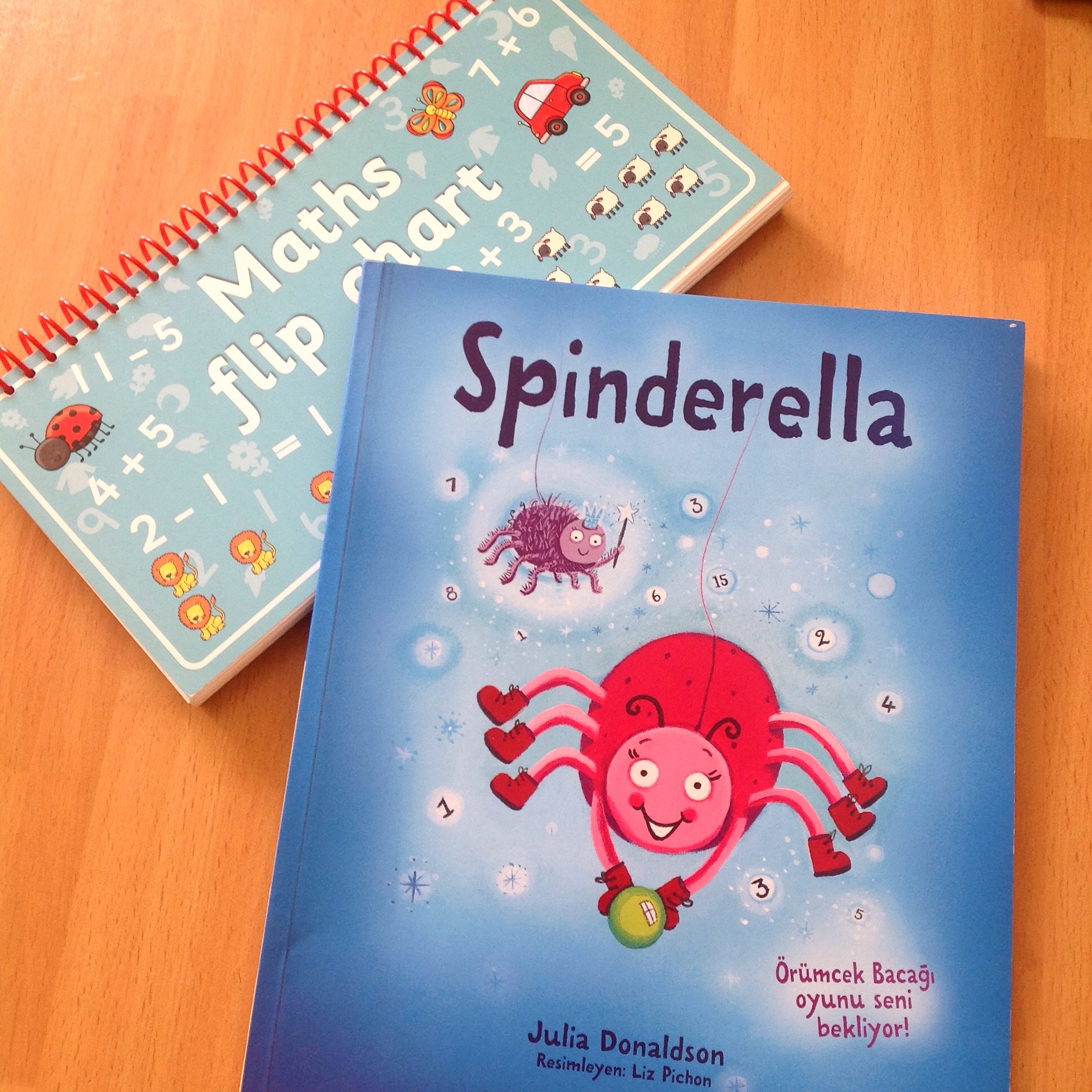 cocuklar-icin-kitap-onerileri-spinderella-by-julia-donaldson-3-yas-ve-uzeri