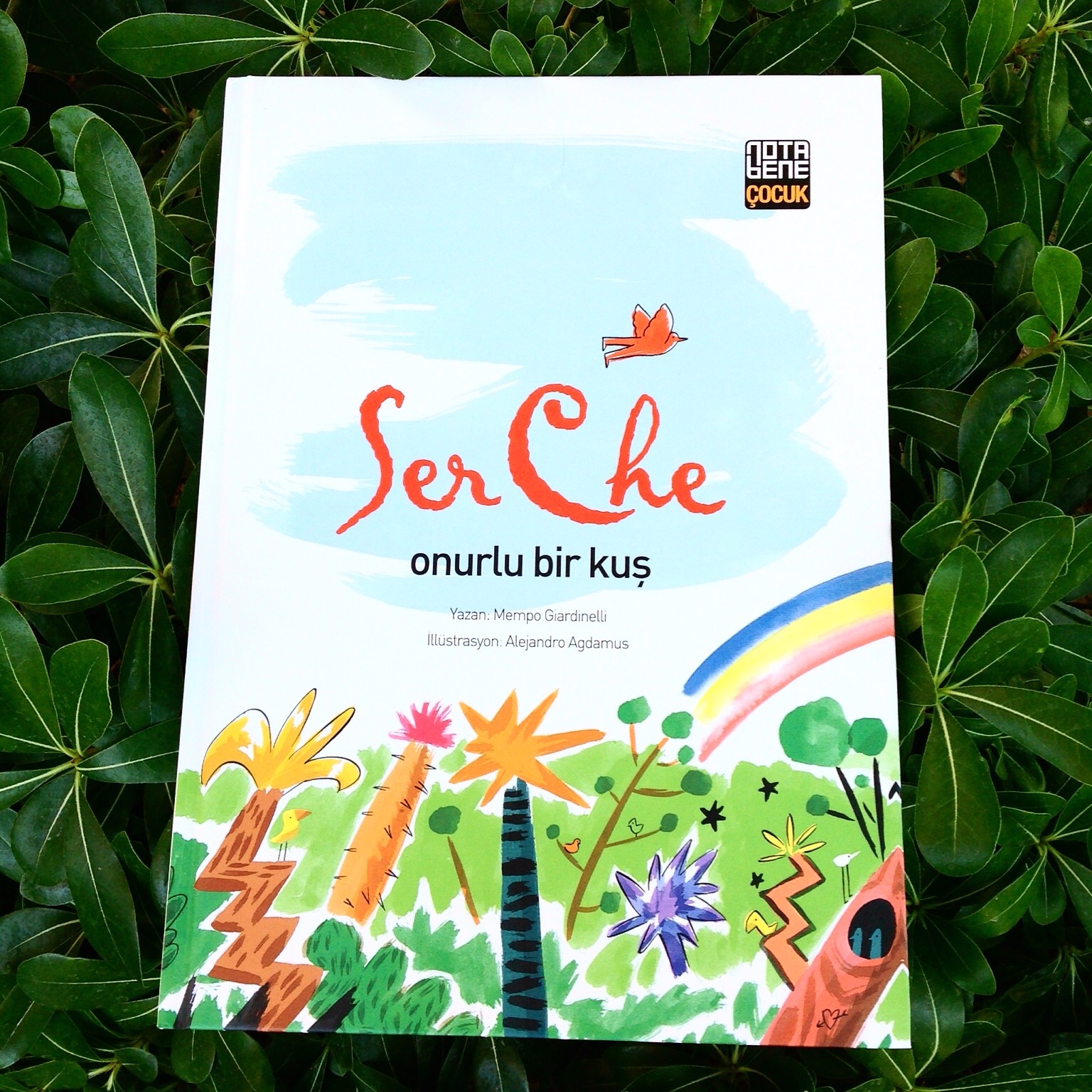 cocuklar-icin-kitap-onerileri-ser-che-onurlu-bir-kus-by-mempo-giardinelli-7-yas-ve-uzeri