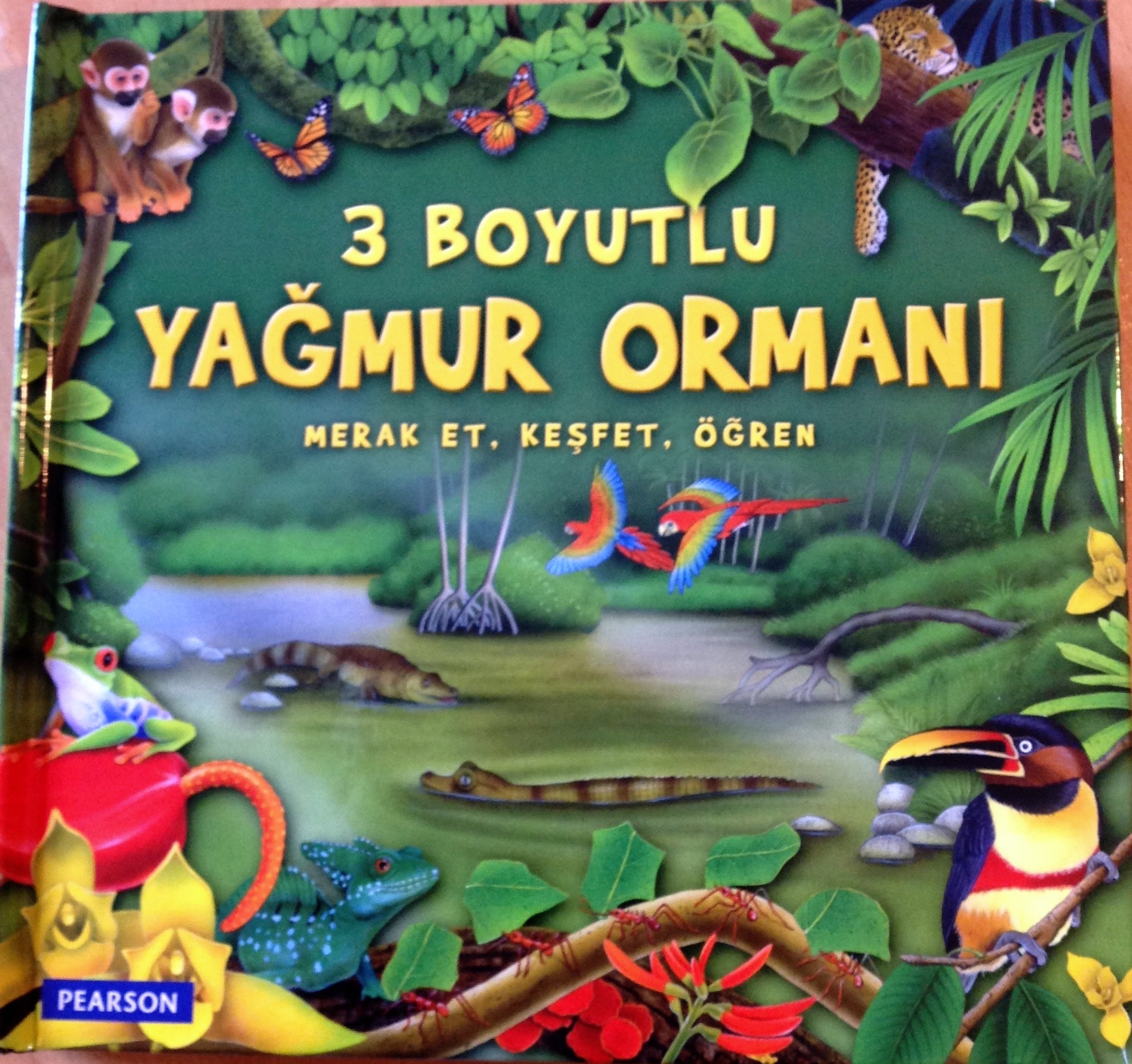 cocuklar-icin-kitap-onerileri-3-boyutlu-yagmur-ormani-by-tom-connell-4-yas-ve-uzeri