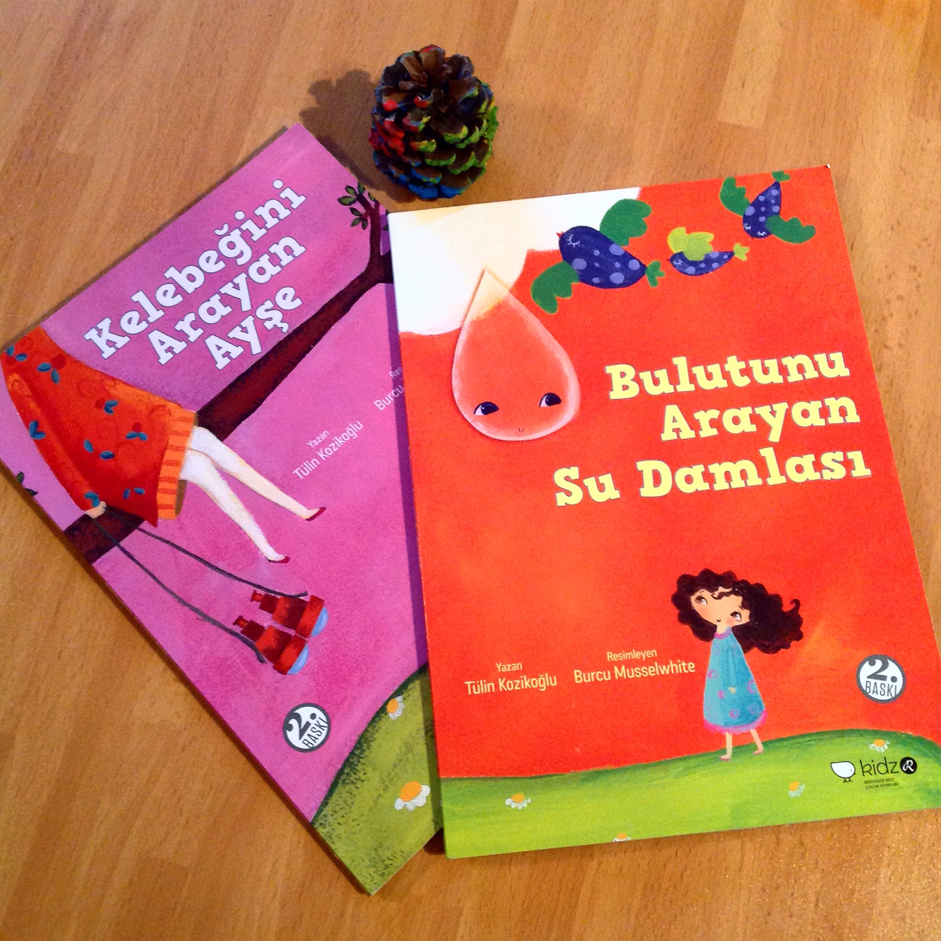 cocuklar-icin-kitap-onerileri-kelebegini-arayan-ayse-bulutunu-arayan-su-damlasi-by-tulin-kozikoglu-4-yas-ve-uzeri