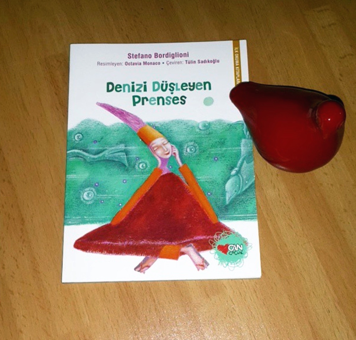 cocuklar-icin-kitap-onerileri-denizi-dusleyen-prenses-by-stefano-bordiglioni-5-yas-ve-uzeri