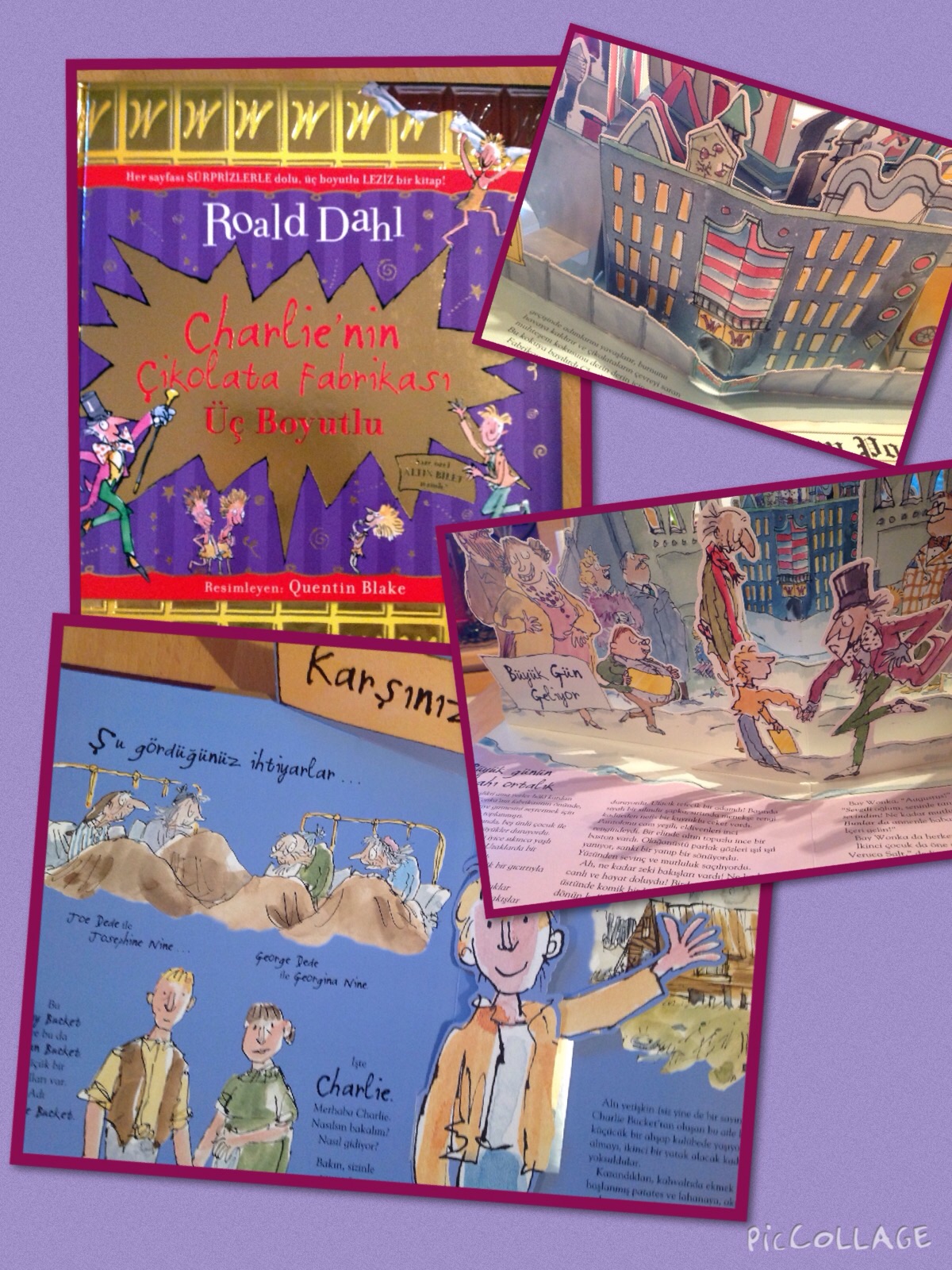 cocuklar-icin-kitap-onerileri-charlienin-cikolata-fabrikasi-3-boyutlu-by-roald-dahl-5-yas-ve-uzeri