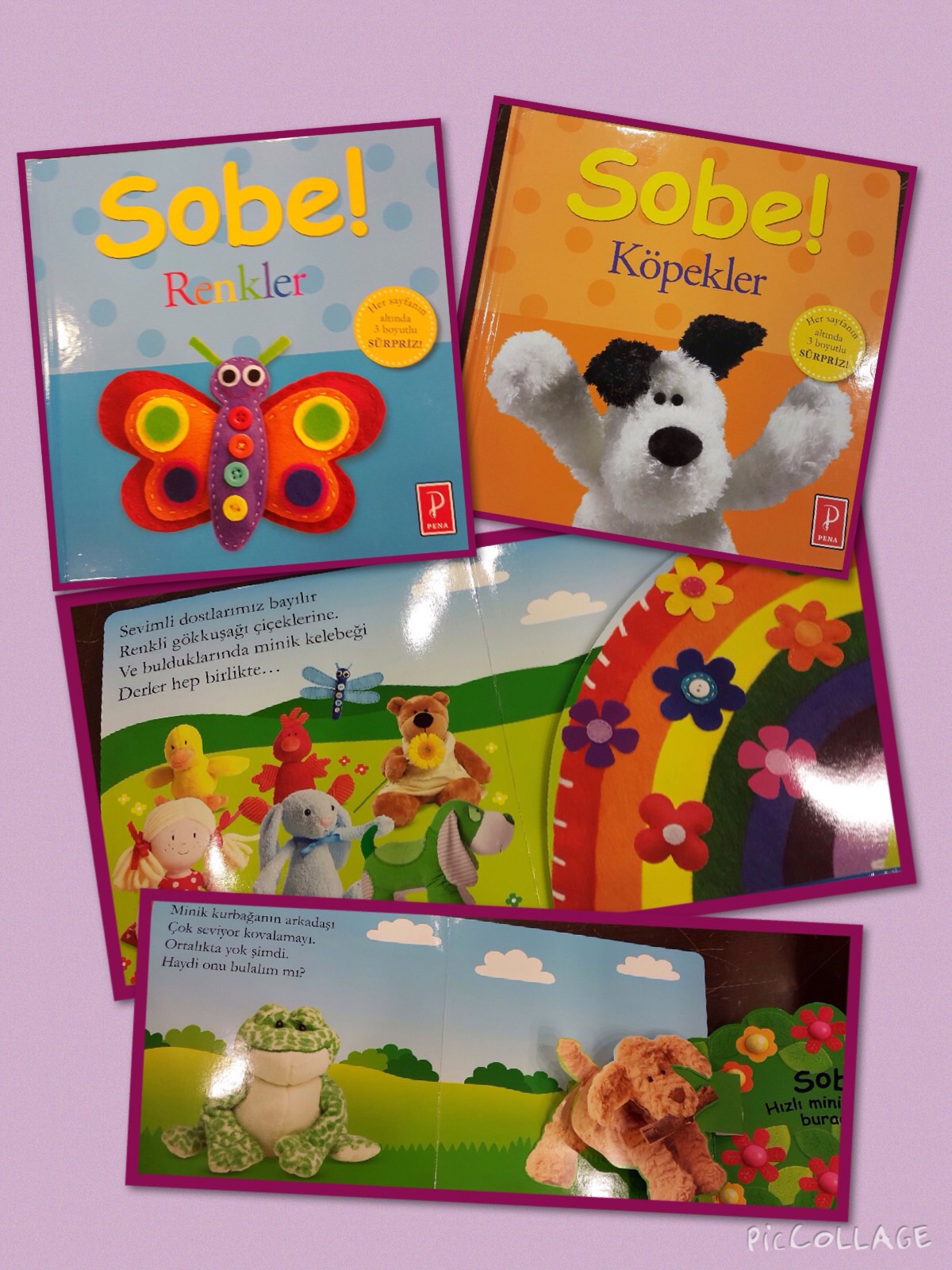 cocuklar-icin-kitap-onerileri-sobe-renkler-sobe-kopekler-by-kolektif-1-yas-ve-uzeri