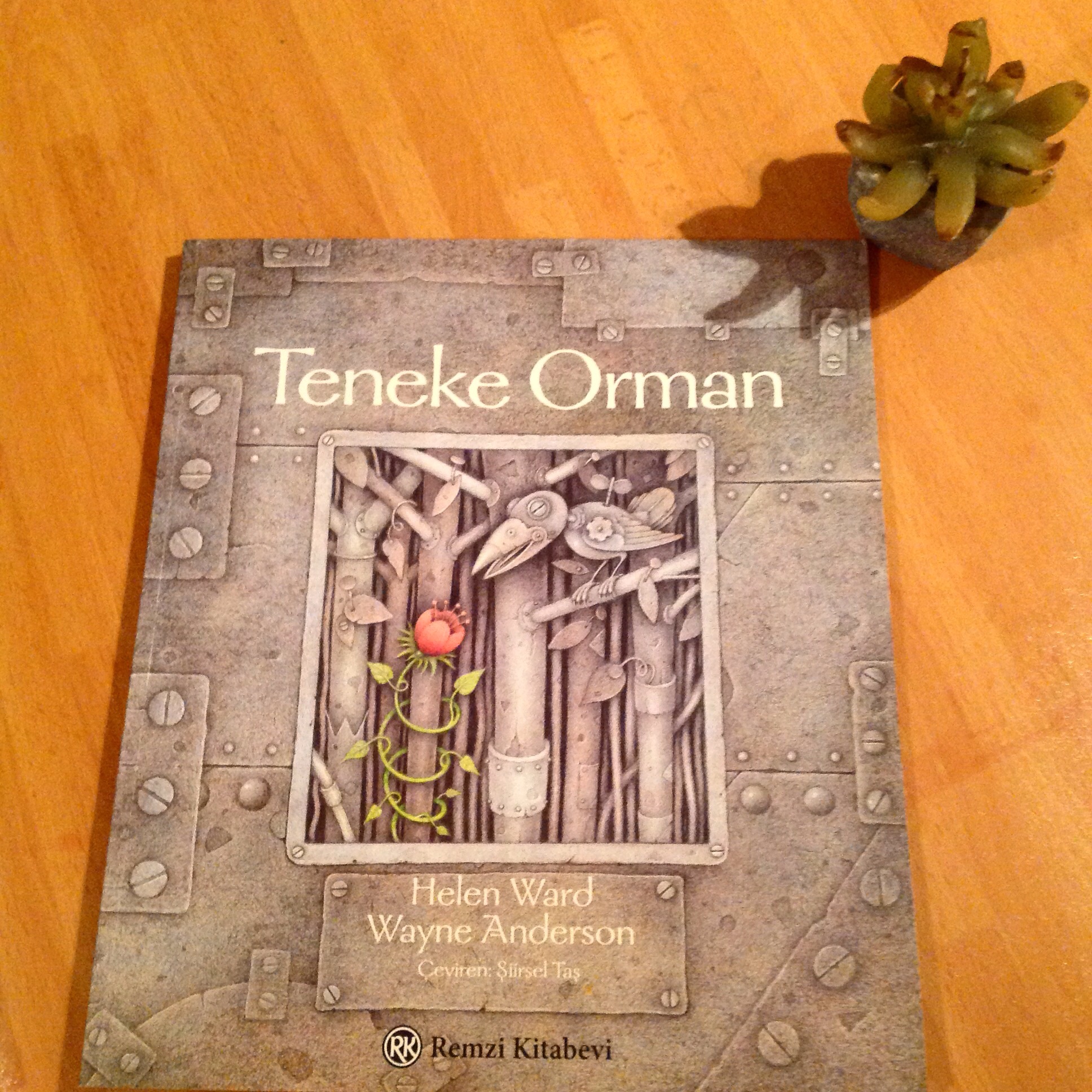 cocuklar-icin-kitap-onerileri-teneke-orman-by-helen-ward-4-yas-ve-uzeri