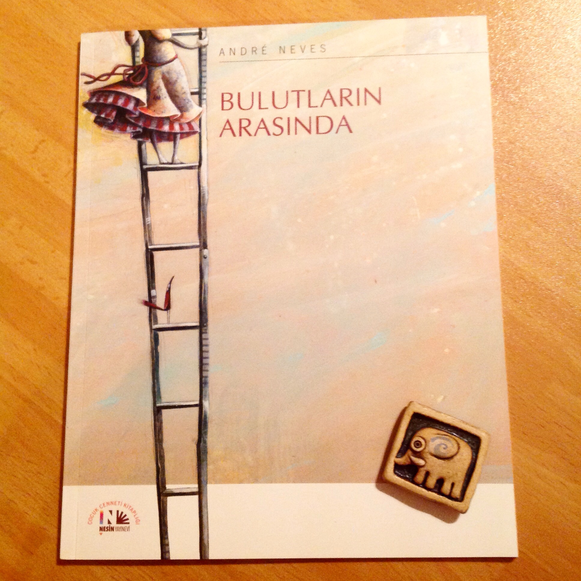 cocuklar-icin-kitap-onerileri-bulutlarin-arasinda-by-andre-neves-4-yas-ve-uzeri