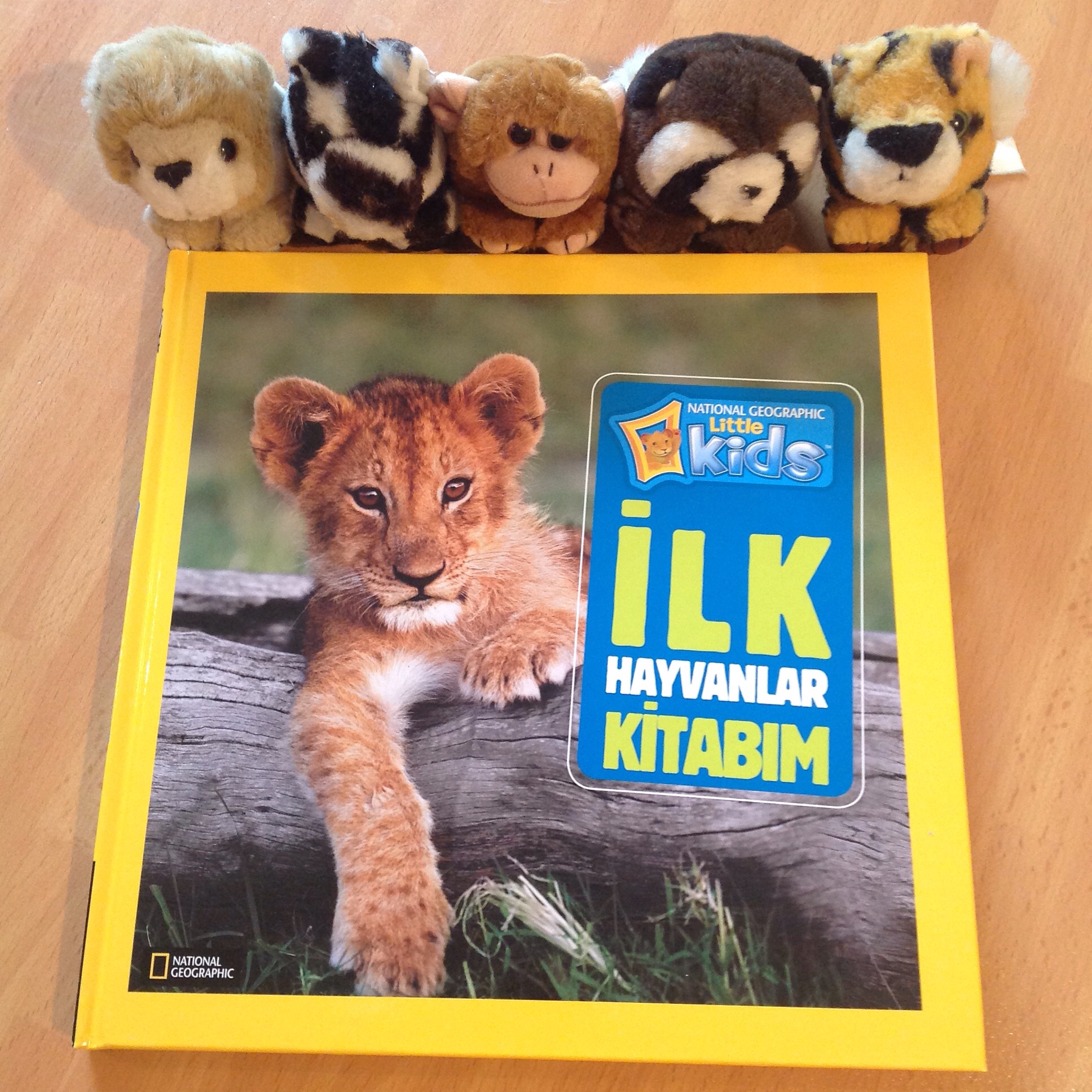 cocuklar-icin-kitap-onerileri-ilk-hayvanlar-kitabim-national-geographic-for-little-kids-by-kolektif-3-yas-ve-uzeri