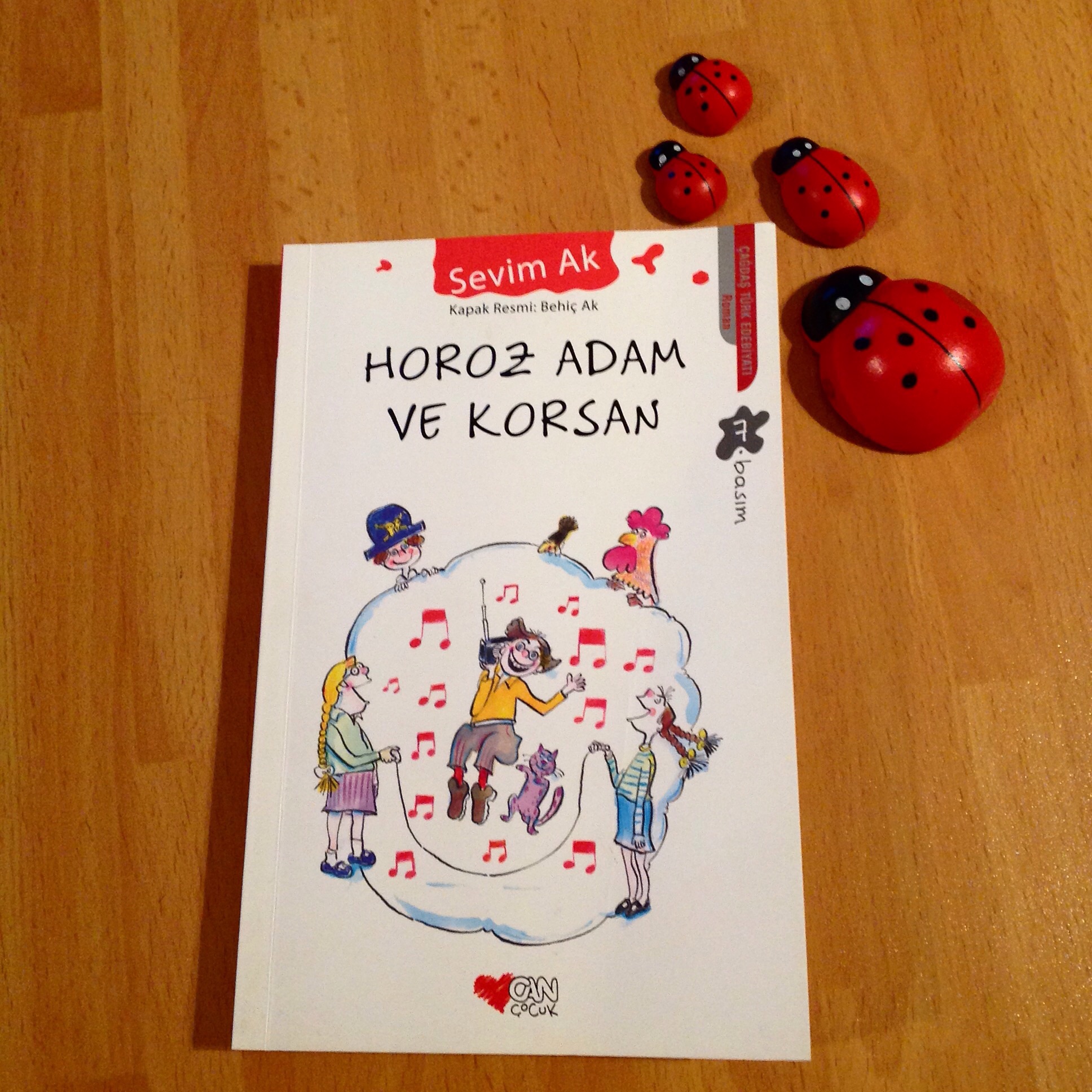 cocuklar-icin-kitap-onerileri-horoz-adam-ve-korsan-by-sevim-ak-12-yas-ve-uzeri