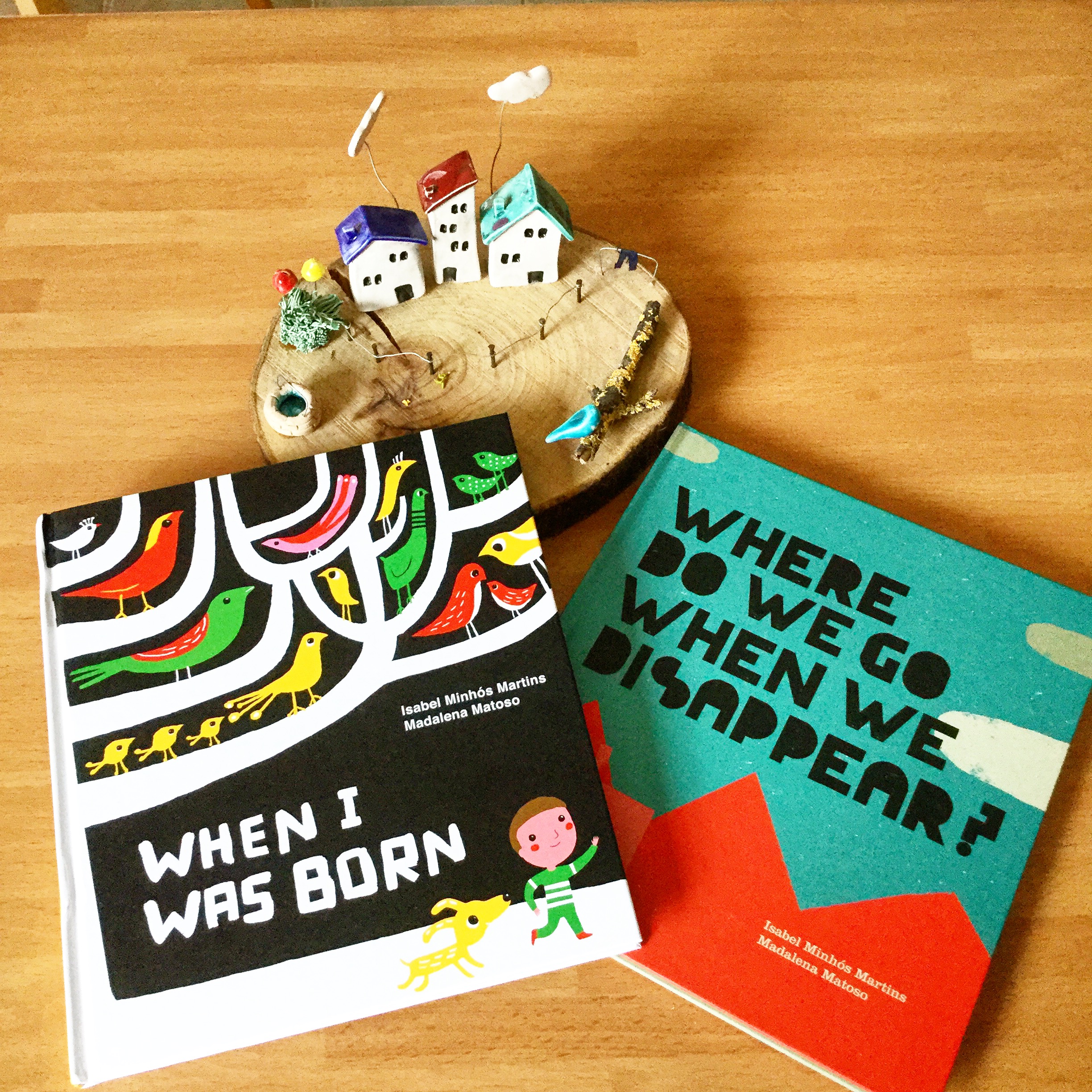 cocuklar-icin-kitap-onerileri-when-i-was-born--where-do-we-go-when-ve-disappear-by-isabel-minhos-martins-5-yas-ve-uzeri