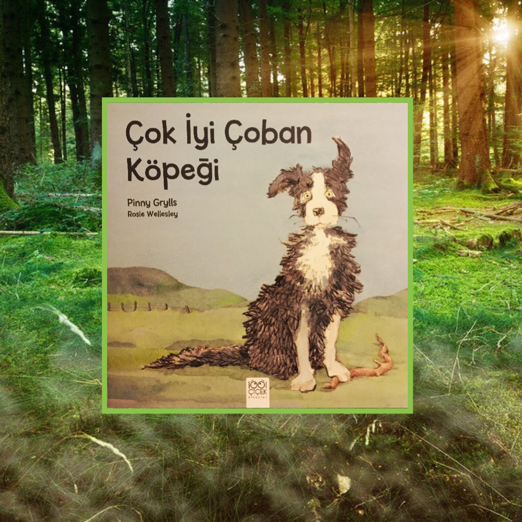 cocuklar-icin-kitap-onerileri-cok-iyi-coban-kopegi-by-pinny-grills-2-yas-ve-uzeri