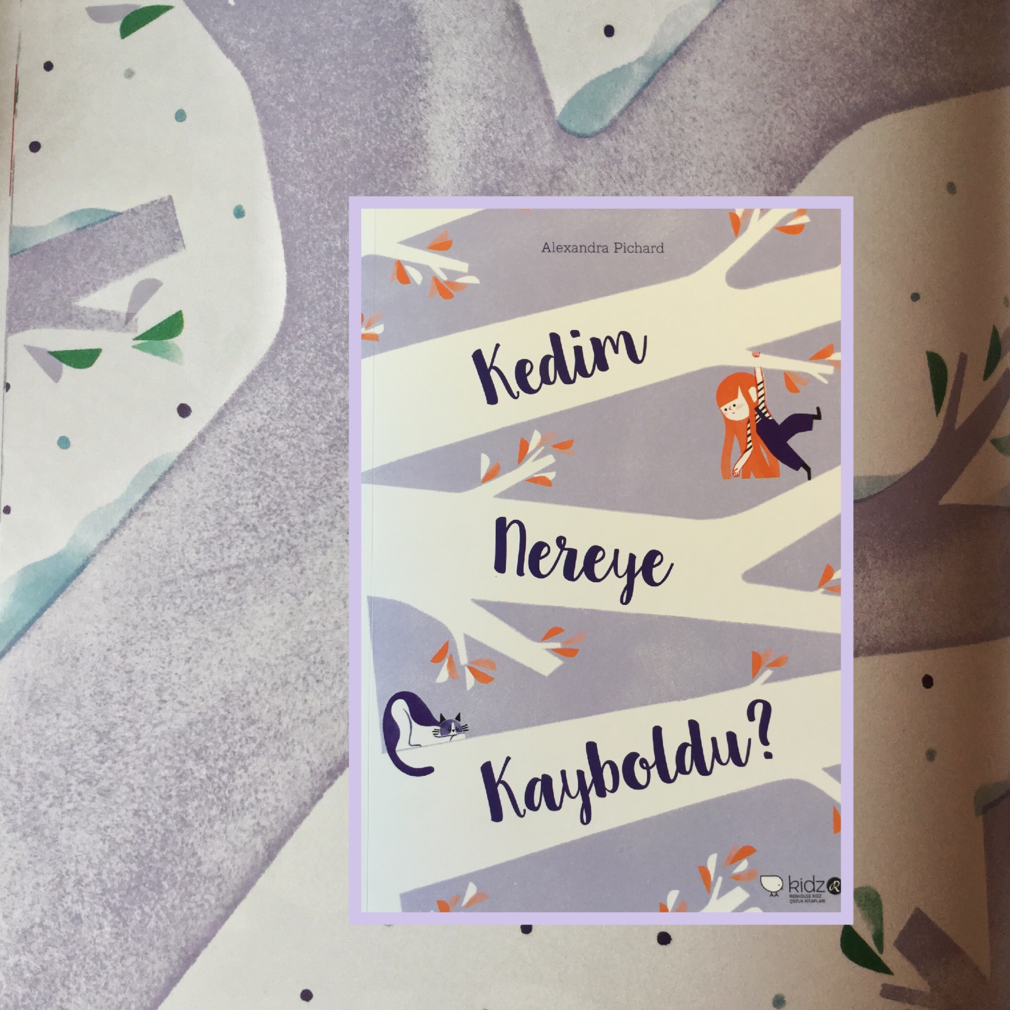 cocuklar-icin-kitap-onerileri-kedim-nereye-kayboldu-by-alexandra-pichard-4-yas-ve-uzeri