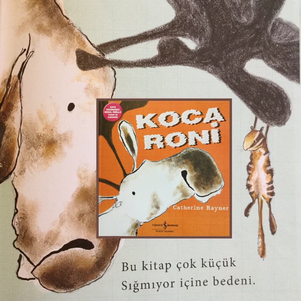 cocuklar-icin-kitap-onerileri-koca-roni-by-catherine-rayner-2-yas-ve-uzeri