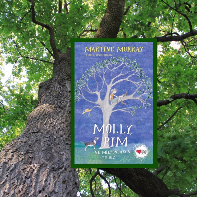 cocuklar-icin-kitap-onerileri-molly-pim-ve-milyonlarca-yildiz-by-martine-murray-10-yas-ve-uzeri