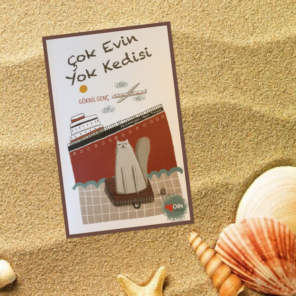 cocuklar-icin-kitap-onerileri-cok-evin-yok-kedisi-by-goknil-genc-9-yas-ve-uzeri